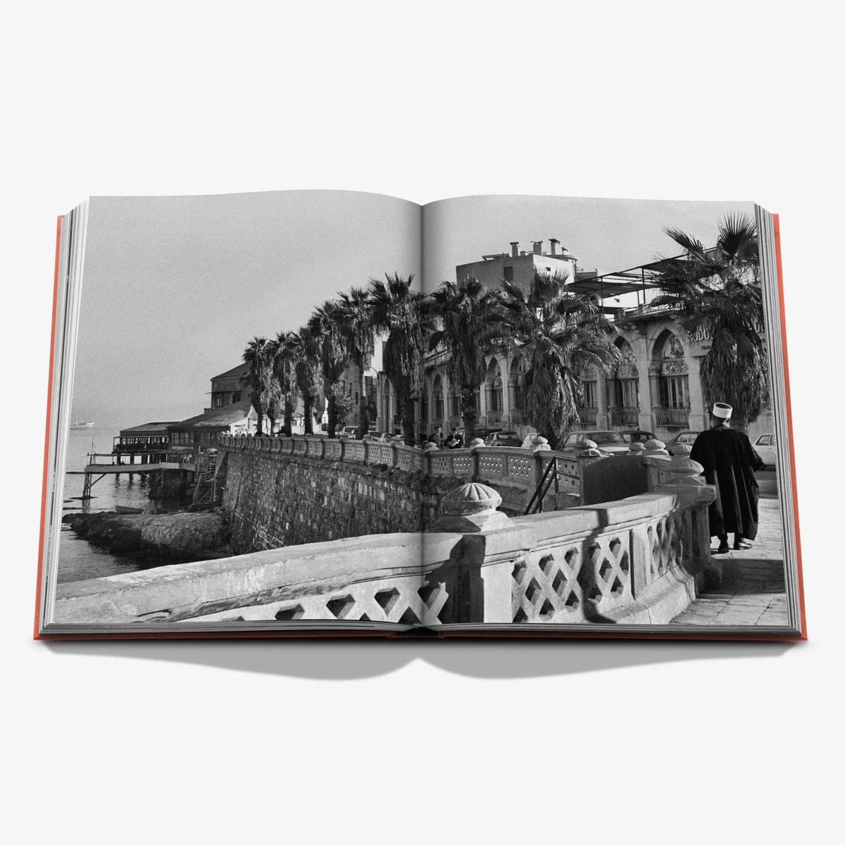 Beirut Habibi