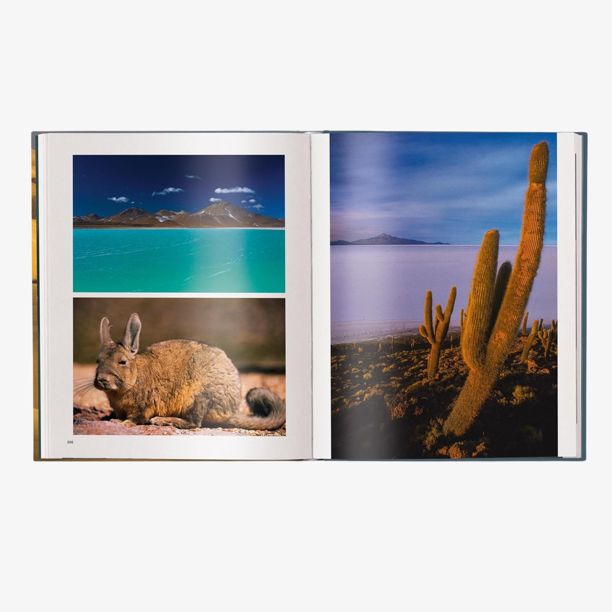 Deserts: The World's Most Fascinating Places