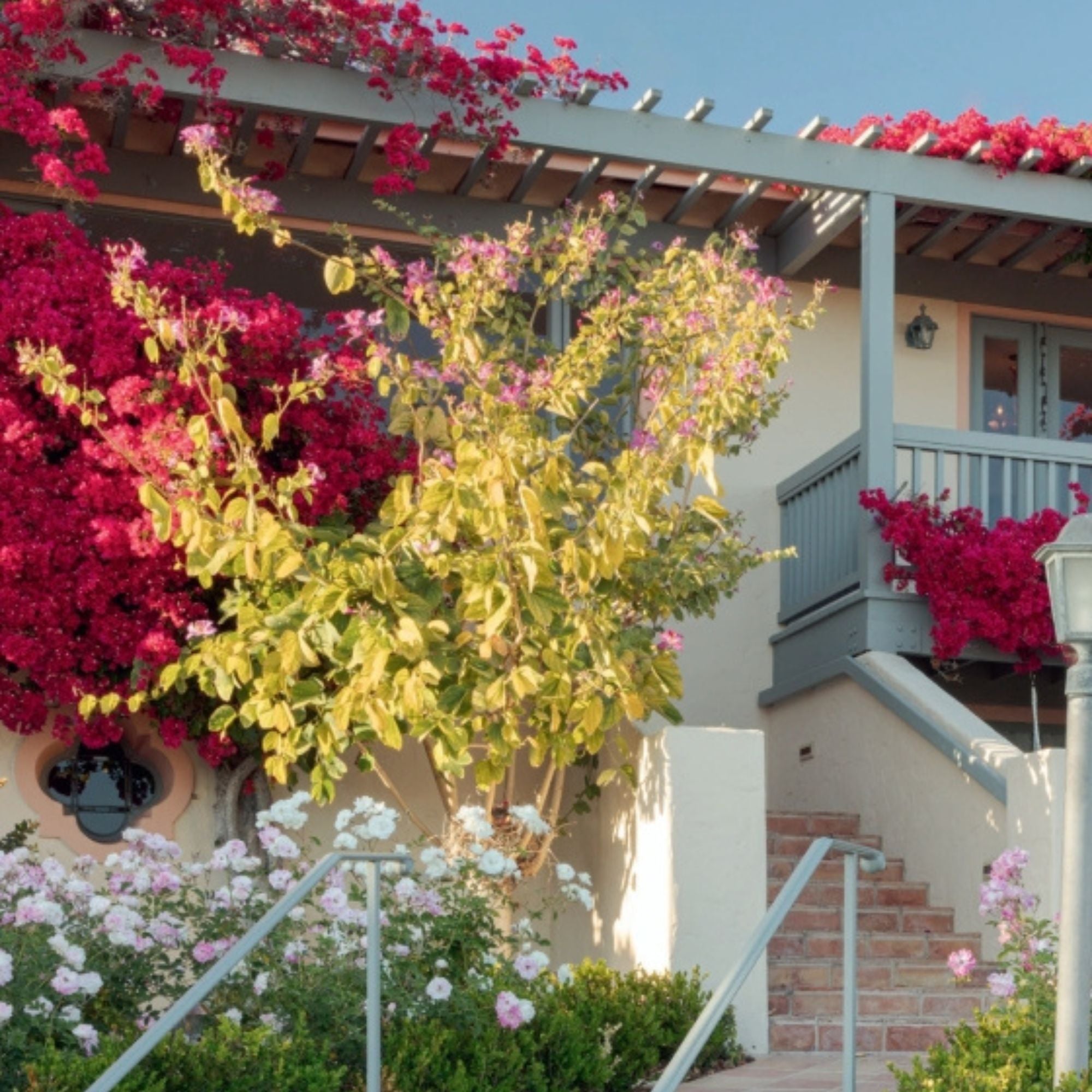 Santa Barbara: At Home in Paradise