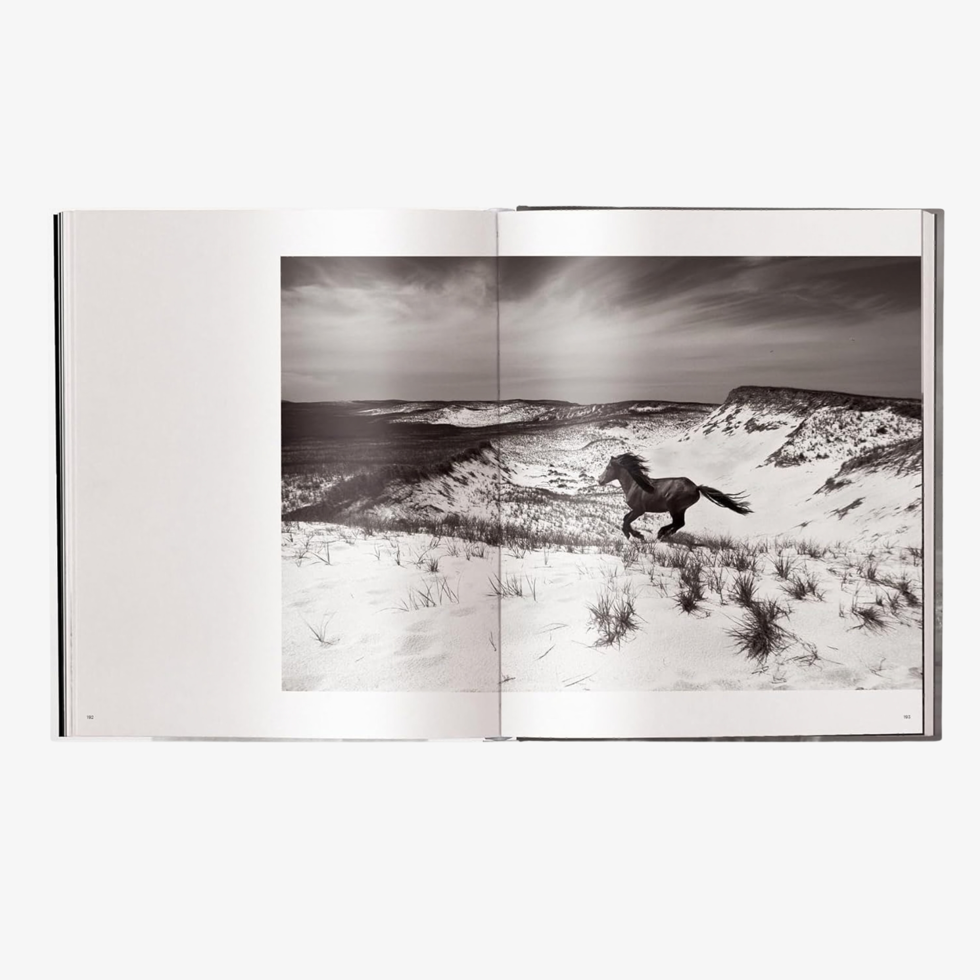 Untamed Spirits: Horses from Around the World