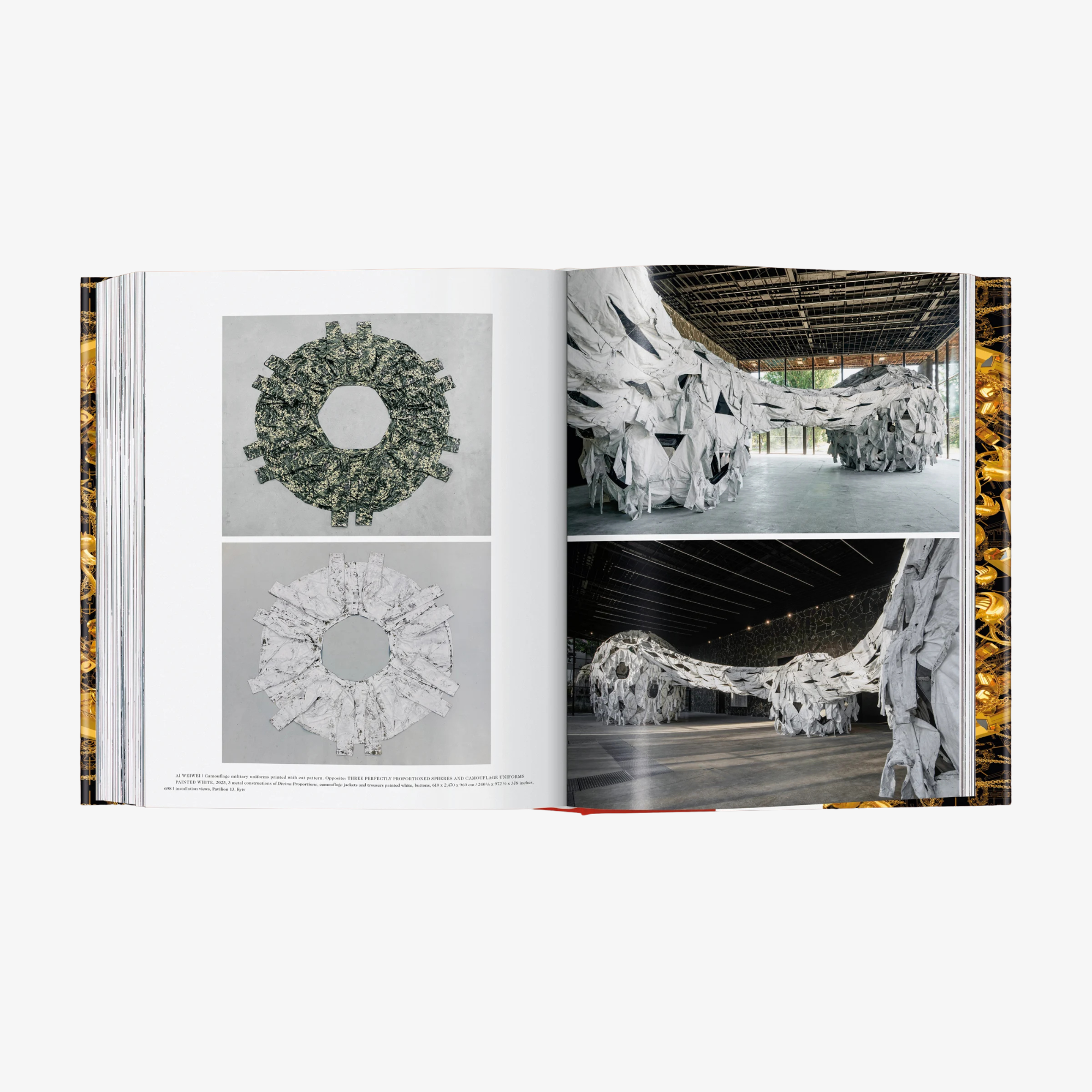 Ai Weiwei. Updated Edition