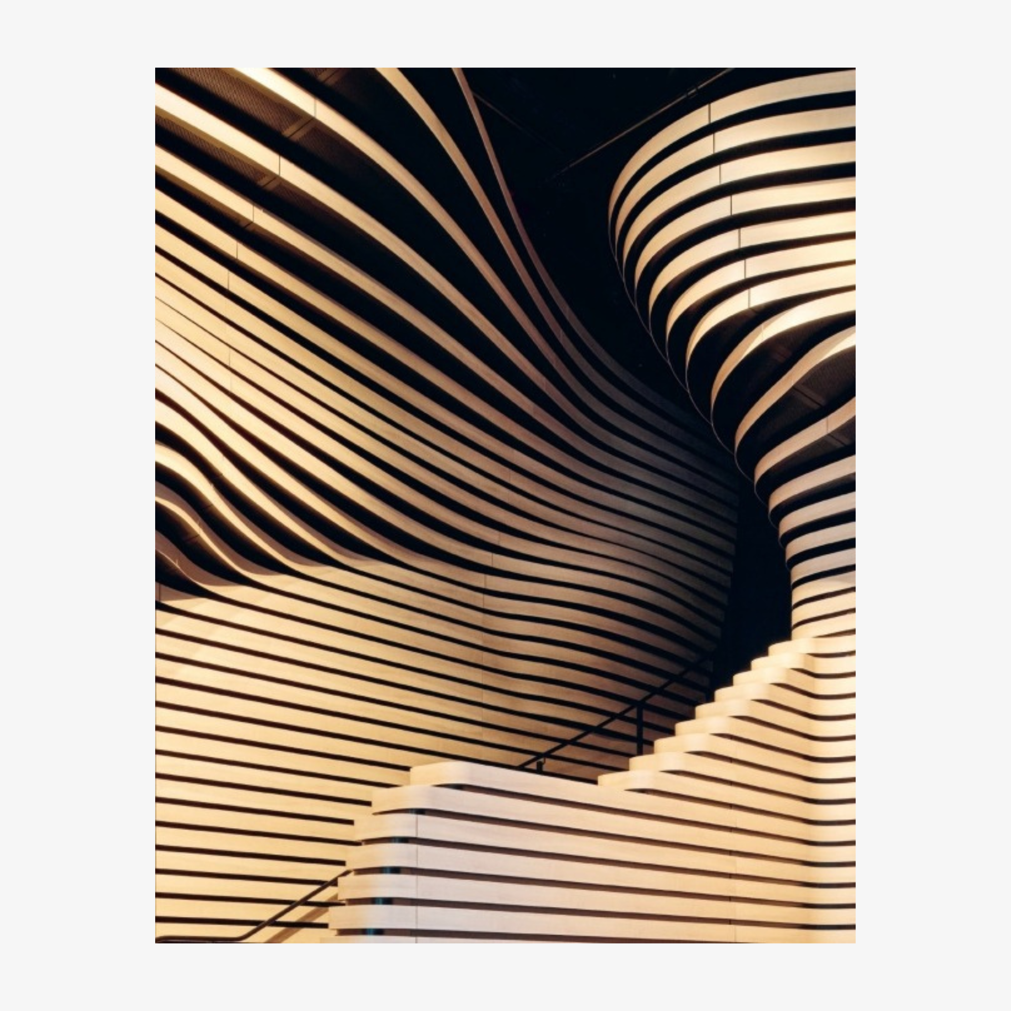 Koichi Takada: Naturalizing Architecture