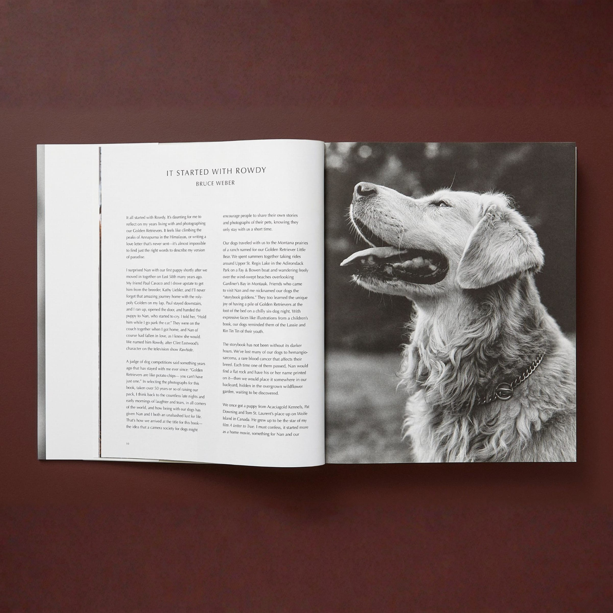Bruce Weber: The Golden Retriever Photographic Society