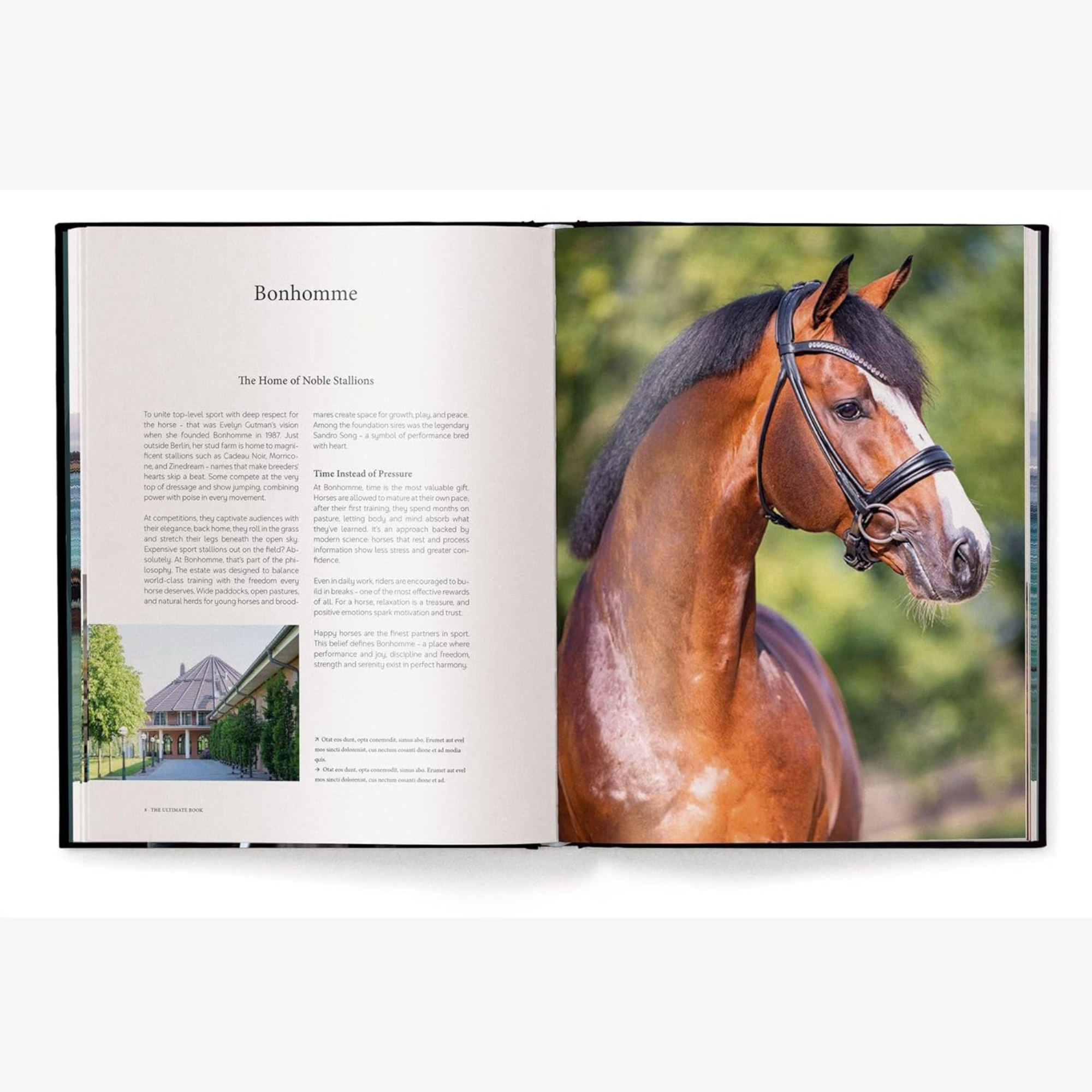 Equestrian - The Ultimate Book