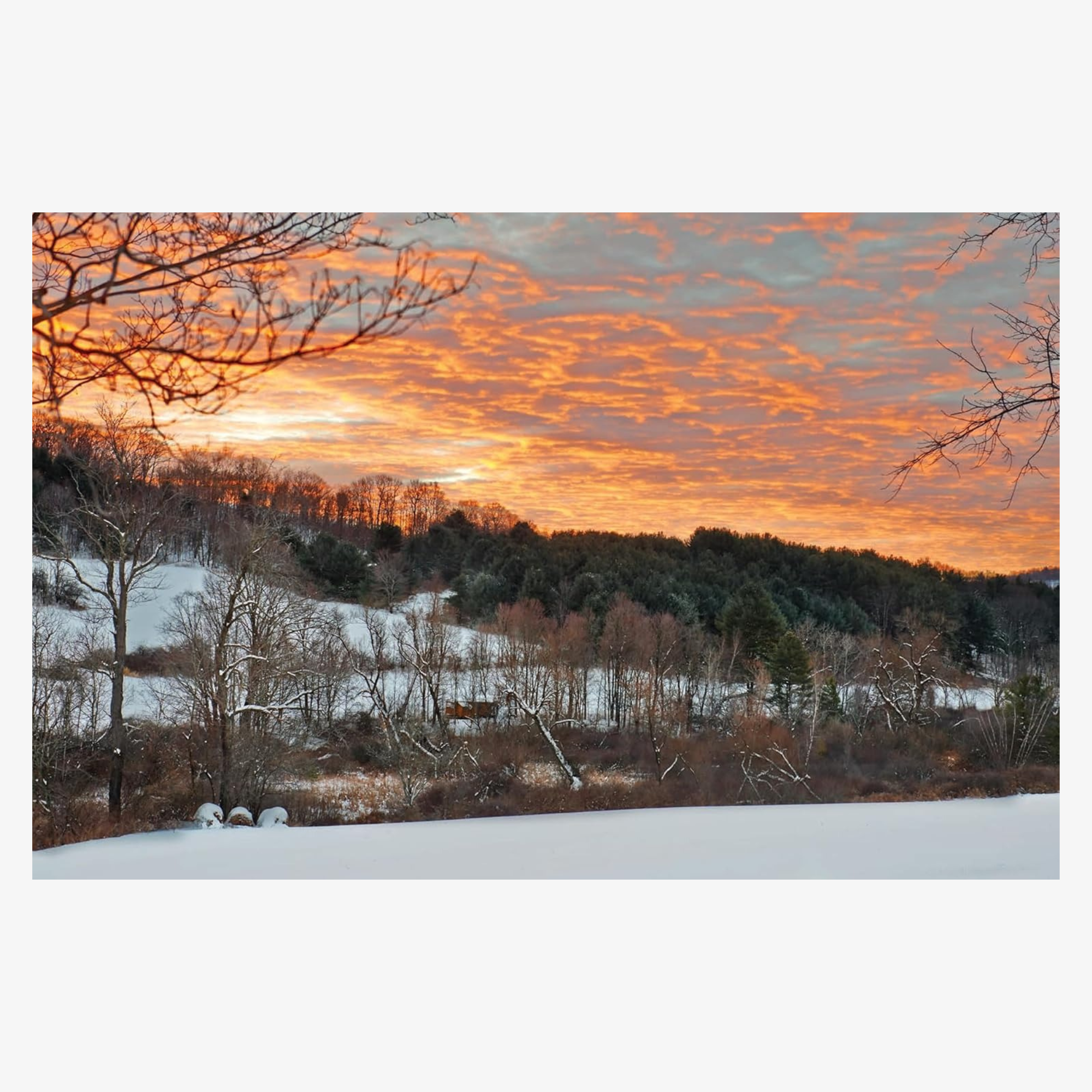 Upstate Now: Art, Design, and Rural Life in the Hudson Valley and Catskills