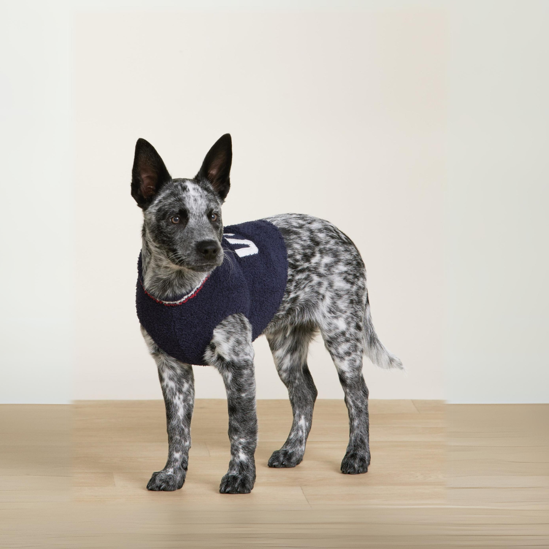 CozyChic Team USA Pet Sweater