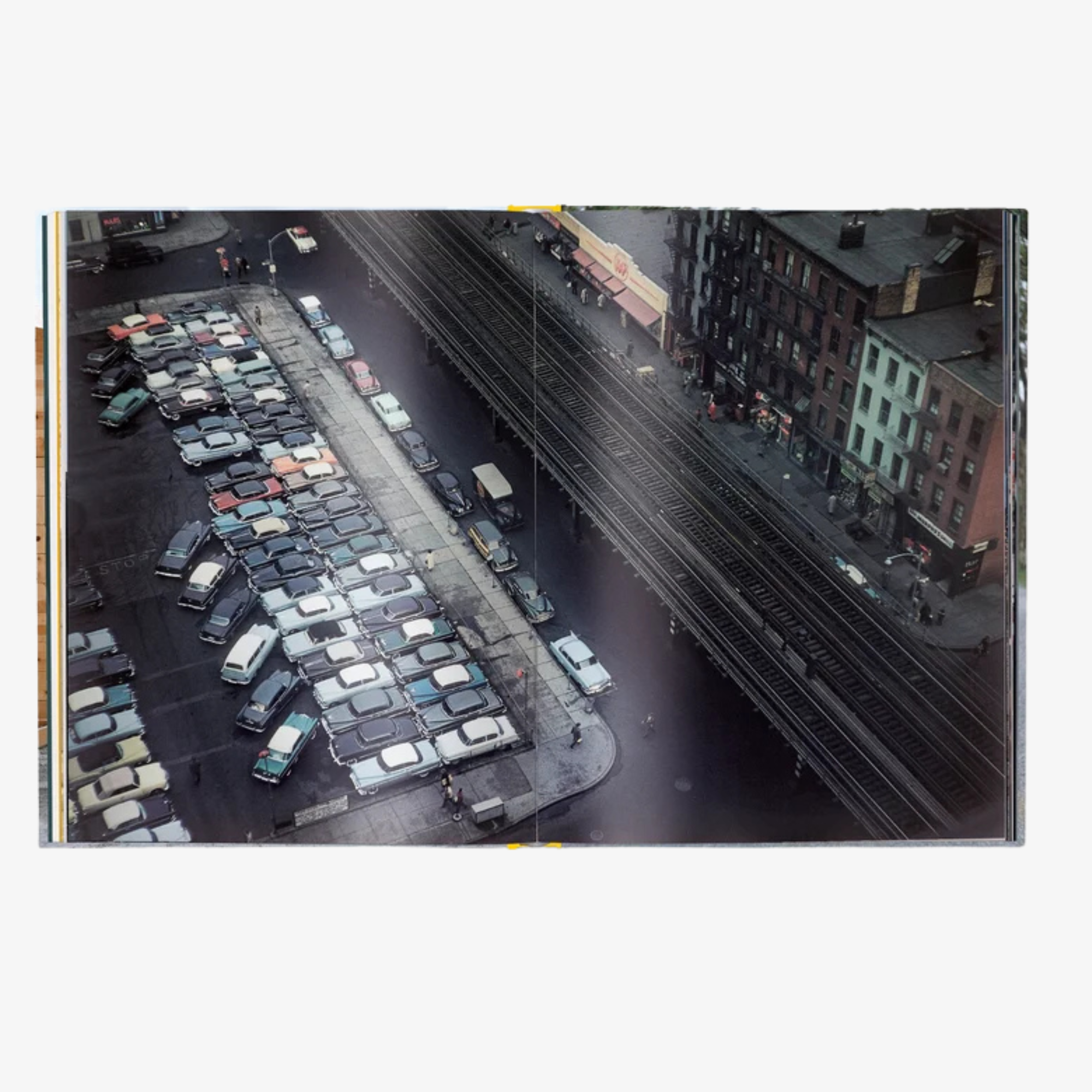 Elliott Erwitt's Kolor: New Edition