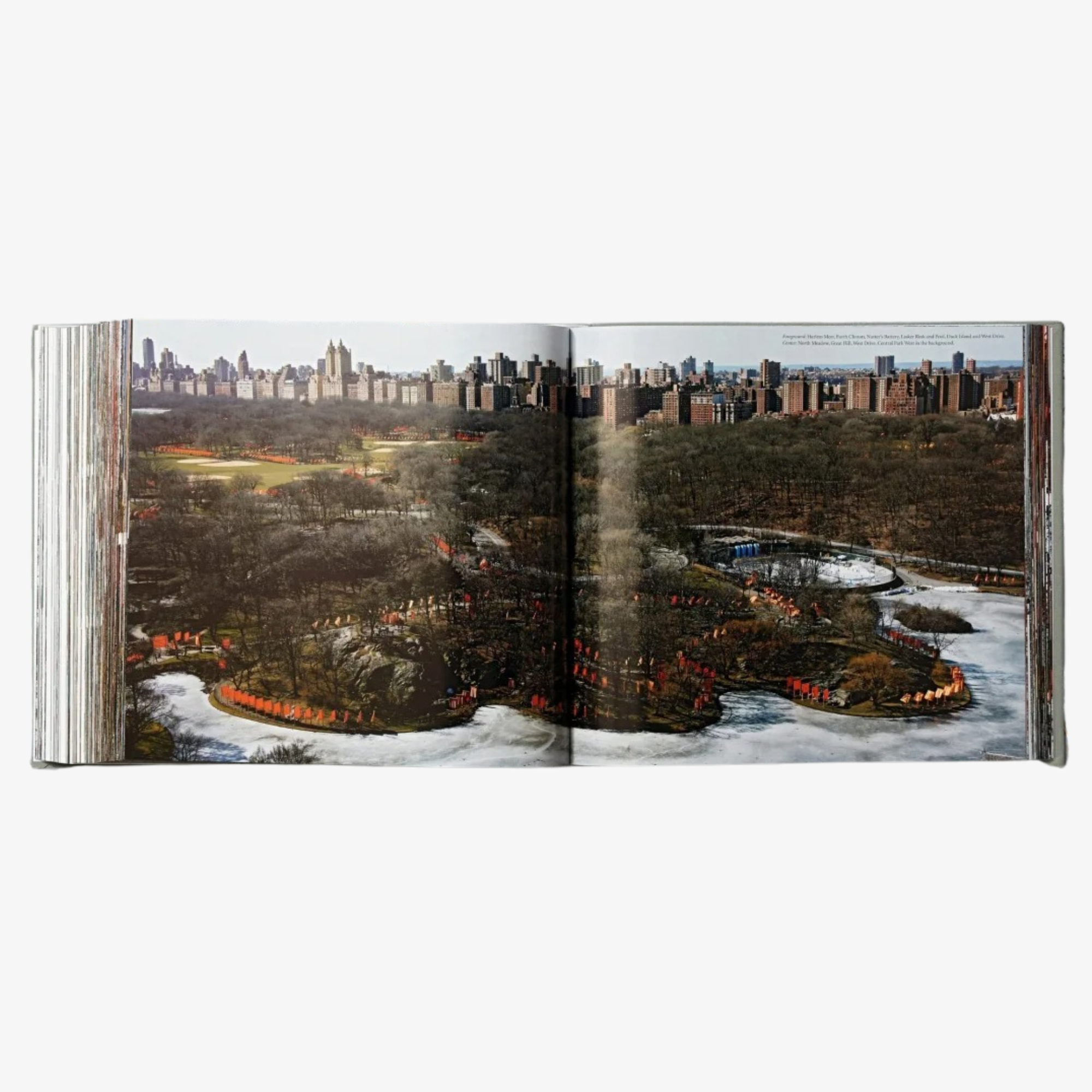 Christo and Jeanne-Claude: The Gates