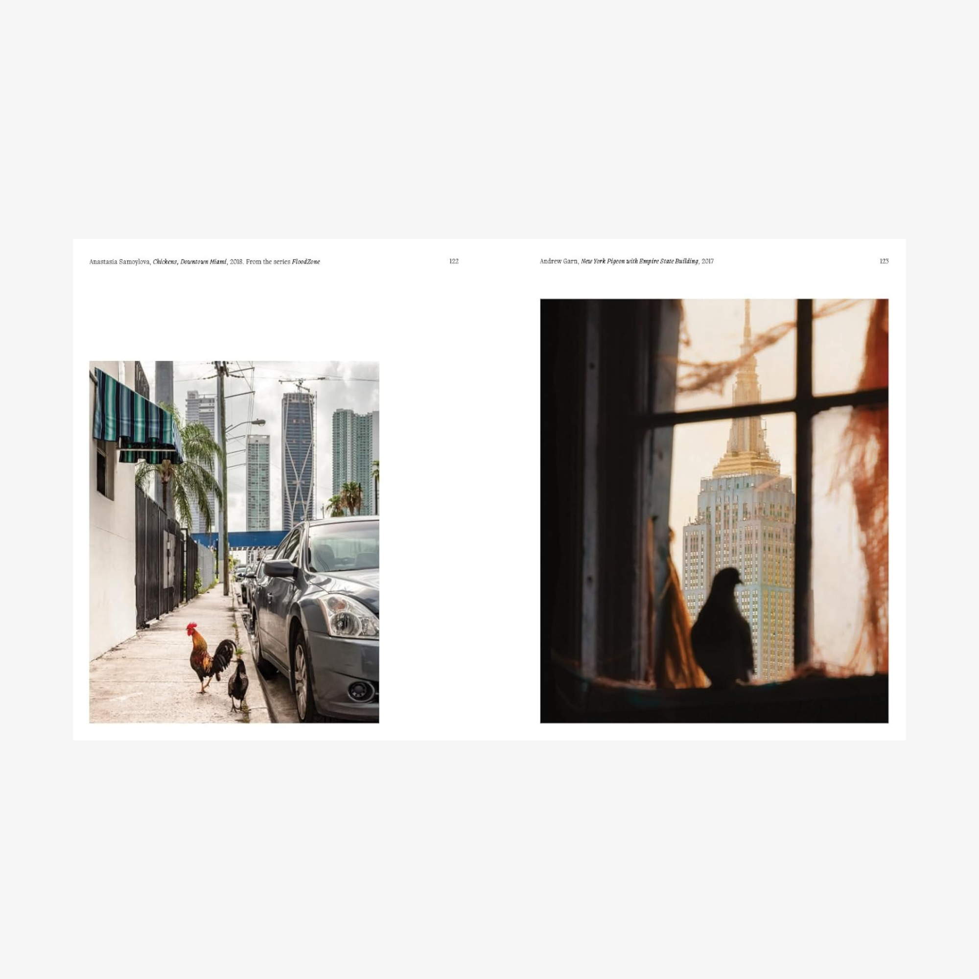 Aviary: The Bird in Contemporary Photography