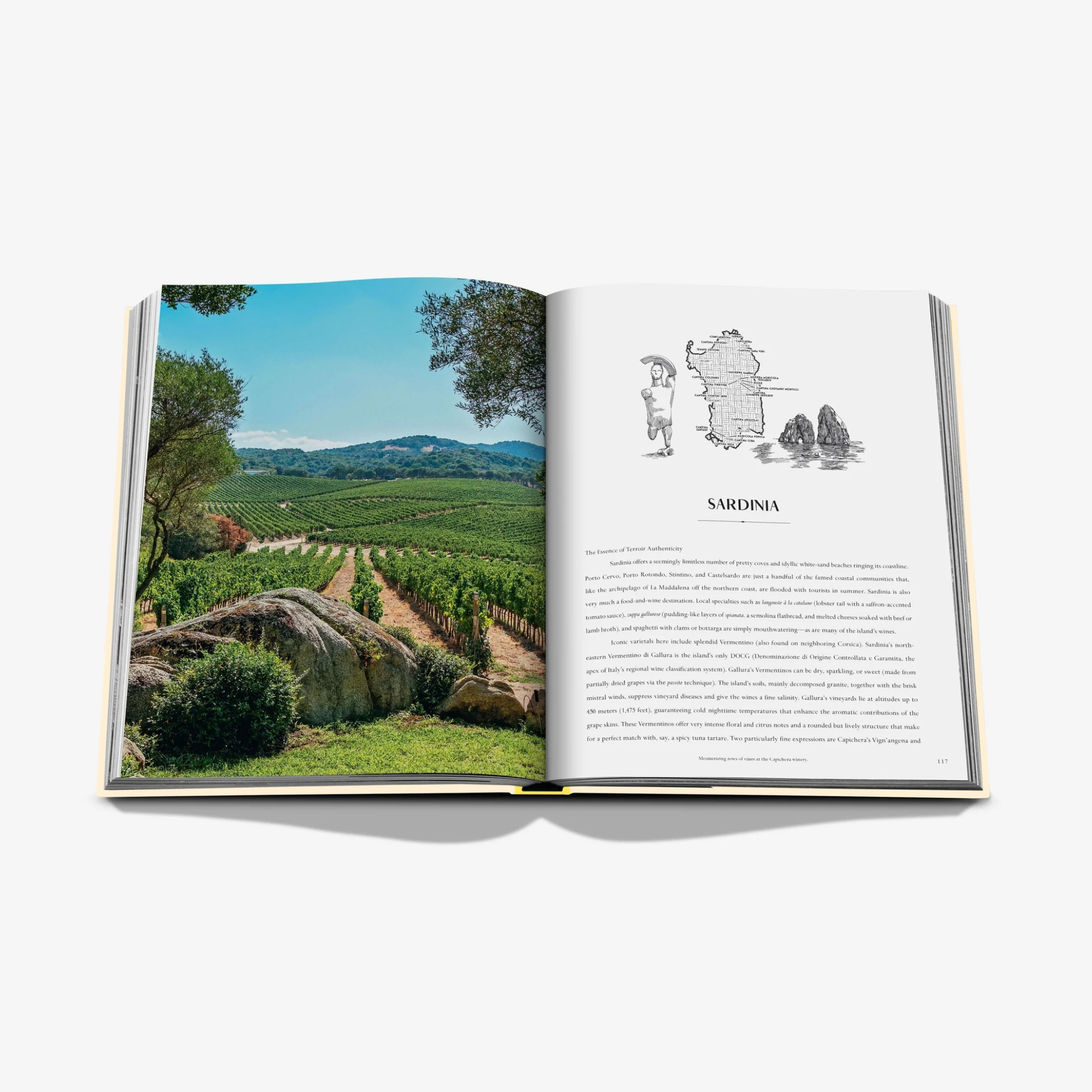 Wine & Travel: Mediterranean Islands