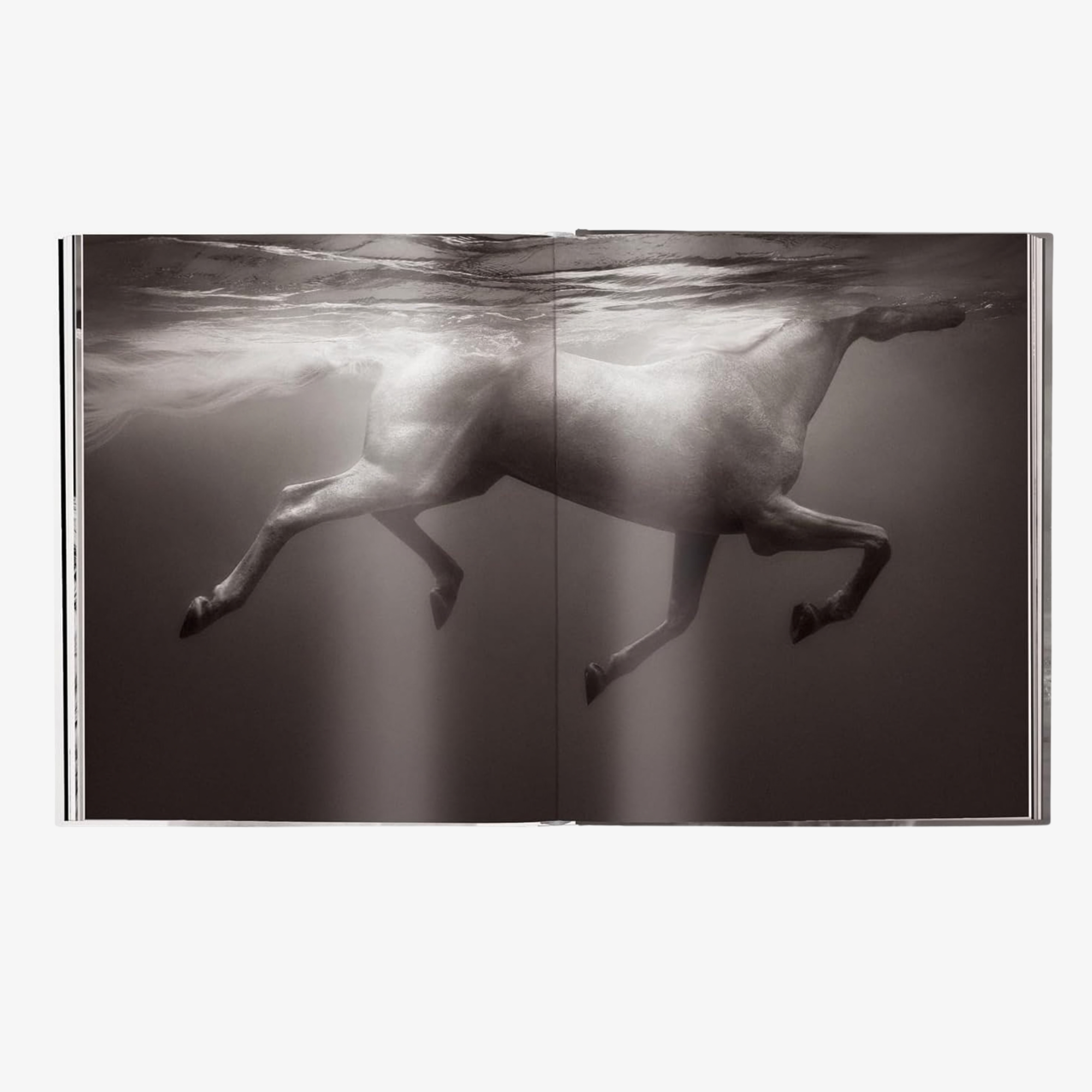 Untamed Spirits: Horses from Around the World