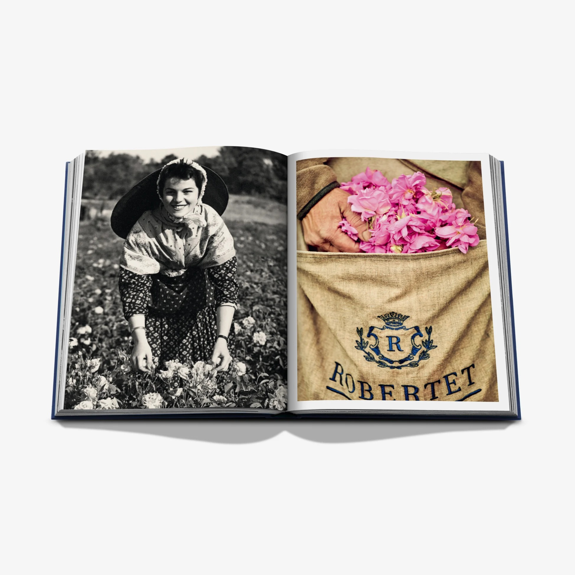 Robertet: From Seed to Scent