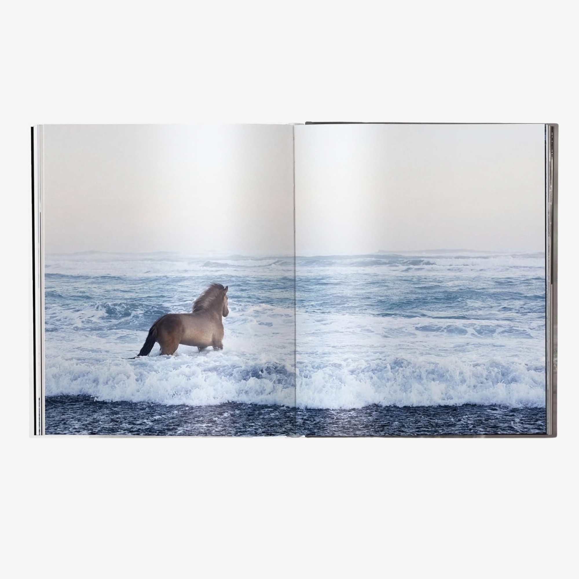 Untamed Spirits: Horses from Around the World