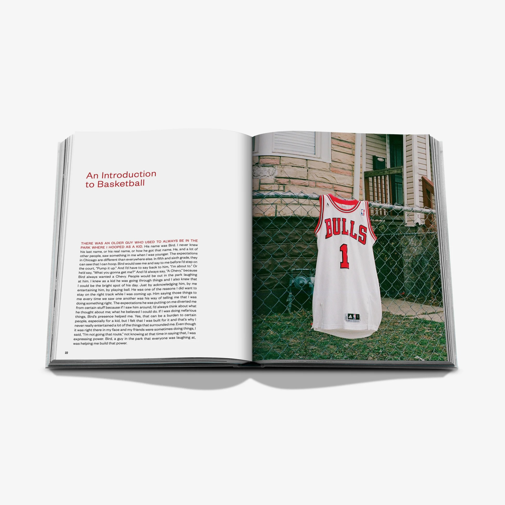 Derrick Rose: The Poohprint