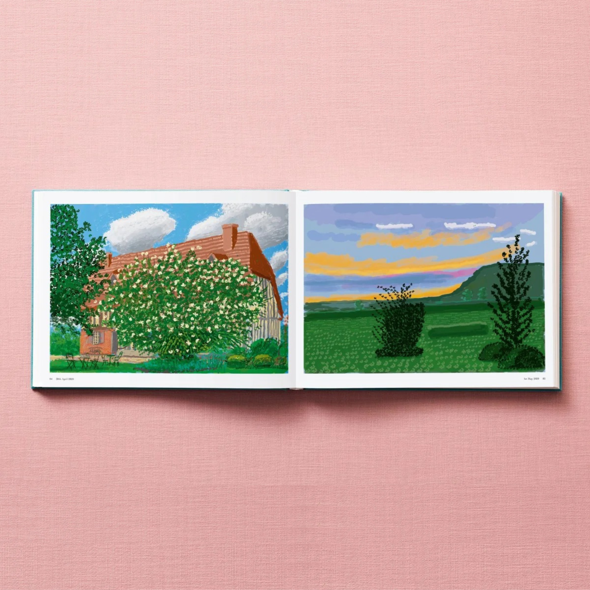 David Hockney: 220 for 2020