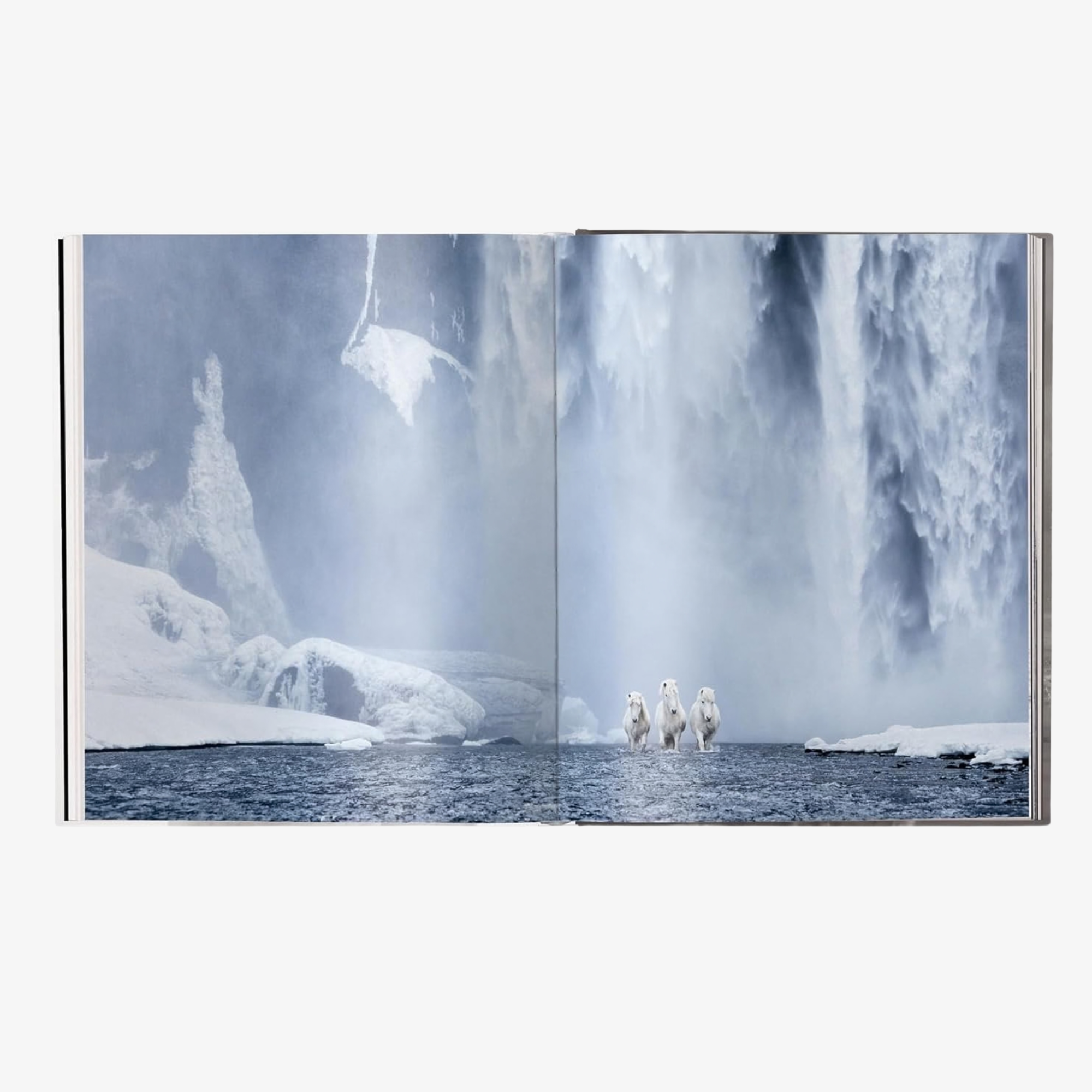 Untamed Spirits: Horses from Around the World