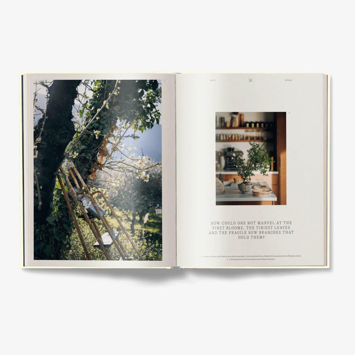 A Spoonful of Sun (New Edition): Mediterranean Cookbook for All Seasons