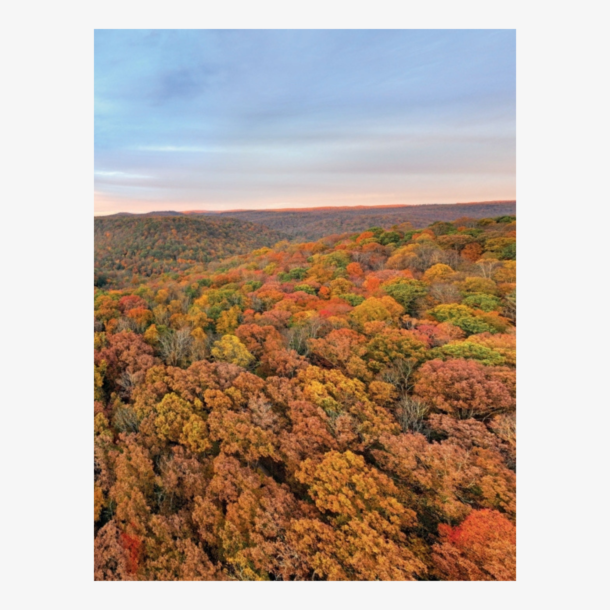 Fallingwater: Living With and In Art