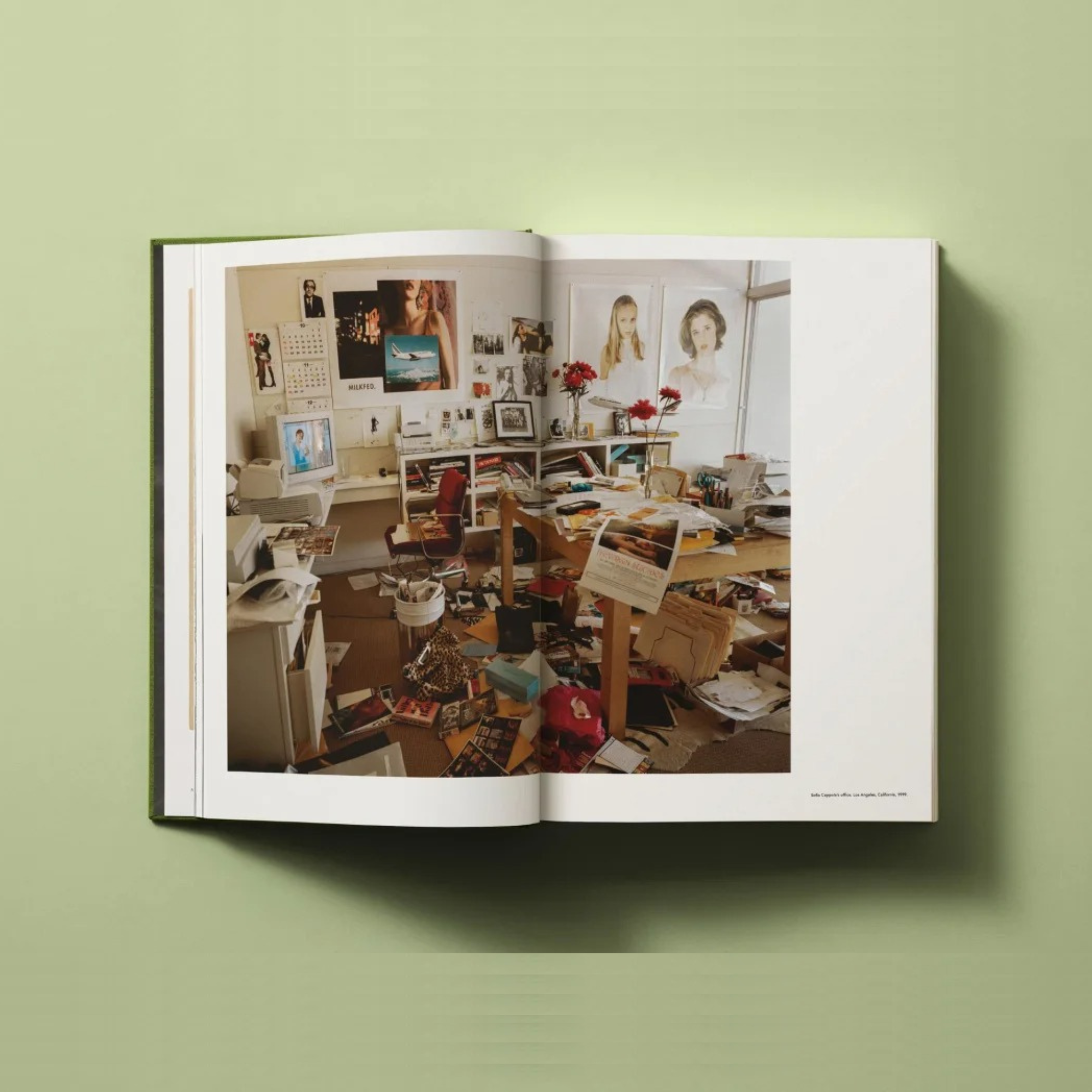 Bruce Weber: My Education