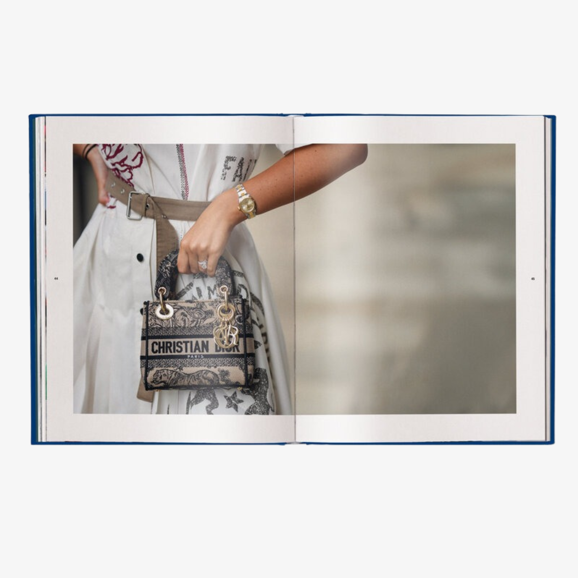 The Ultimate Guide to Dior Bags (Brand Bible)