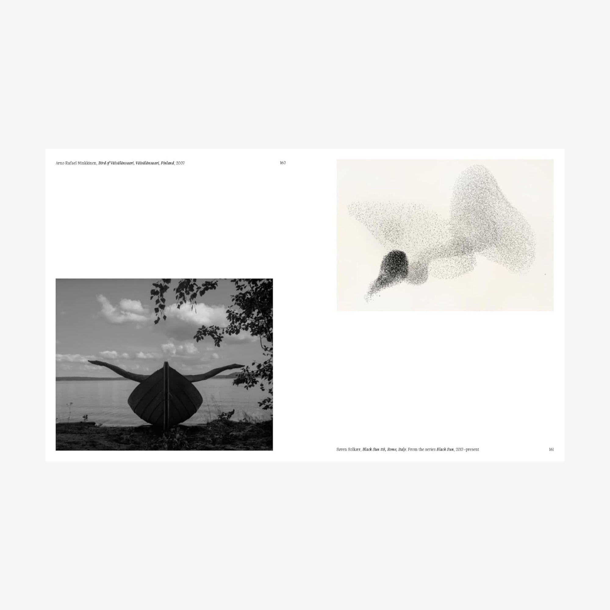 Aviary: The Bird in Contemporary Photography