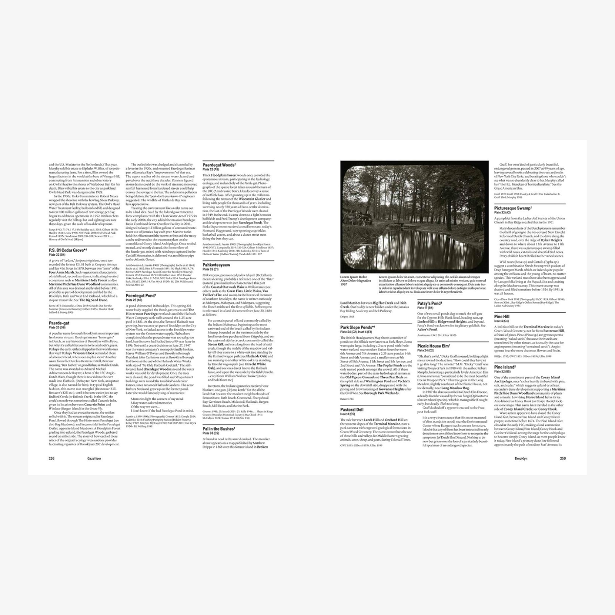 Before New York: The Natural Geography of the City: An Atlas and Gazetteer