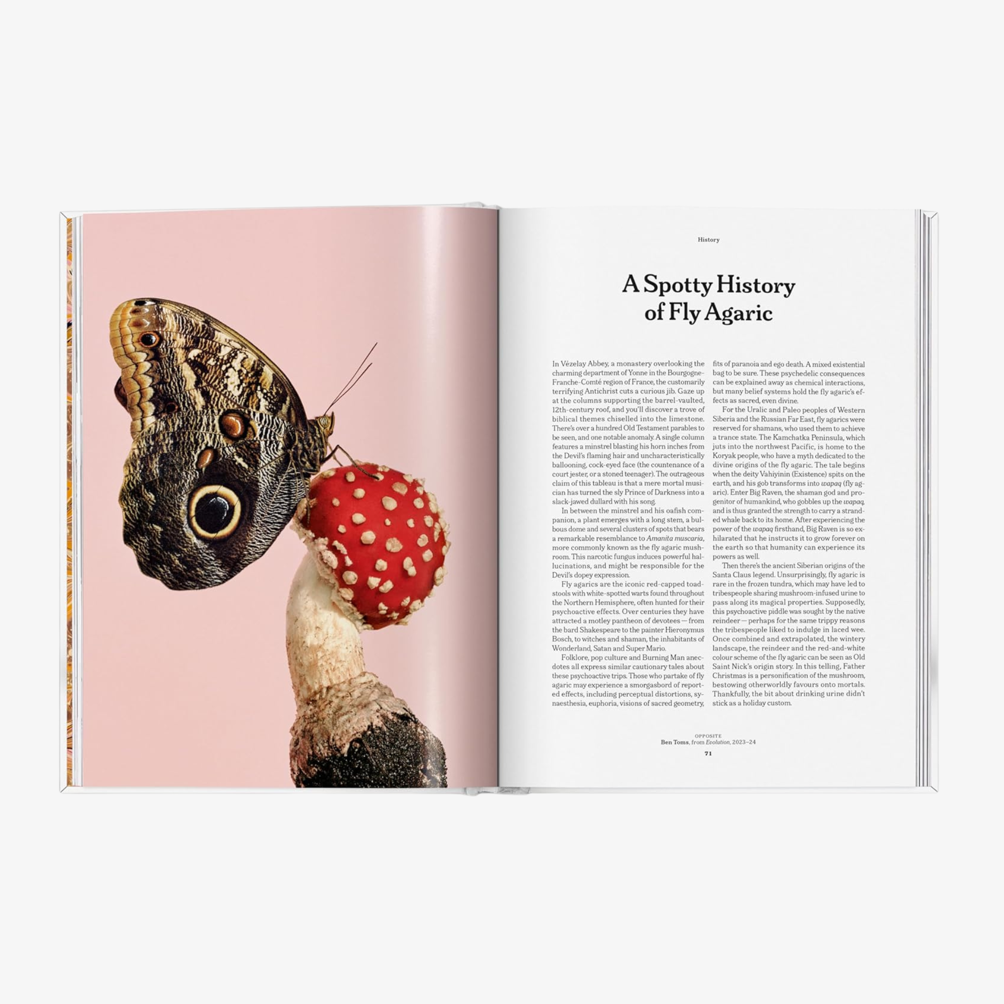 The Gourmand's Mushroom: A Collection of Stories and Recipes