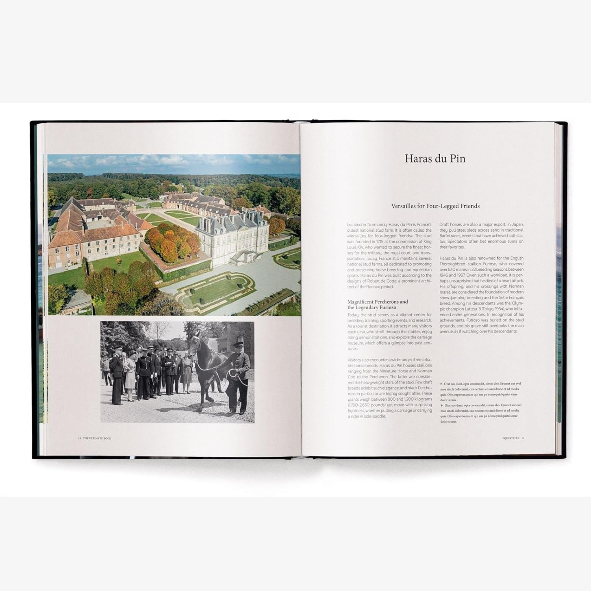Equestrian - The Ultimate Book