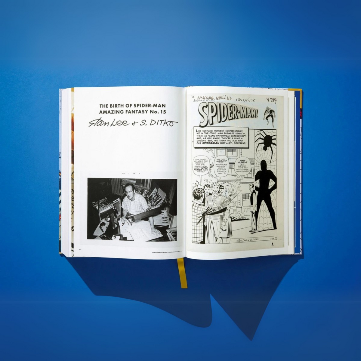 Marvel Comics Library: Spider-Man Vol 1. 1962-1964