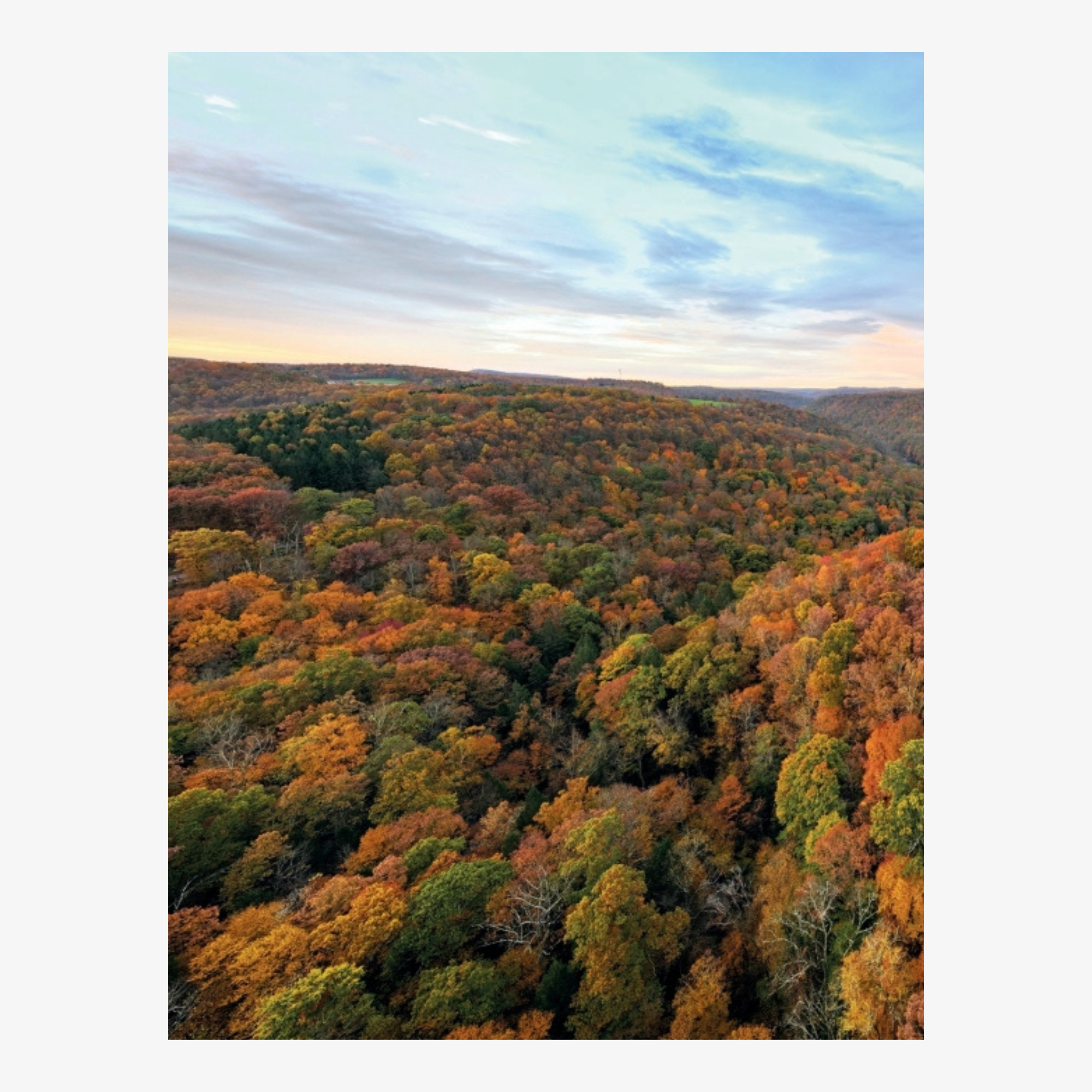 Fallingwater: Living With and In Art