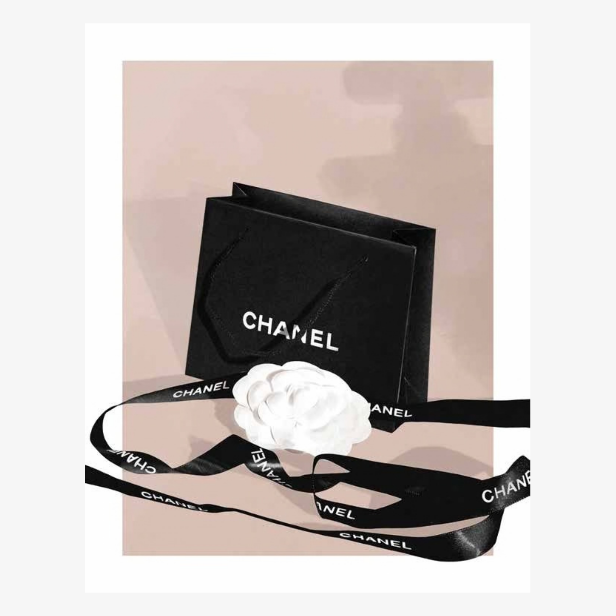 Chanel Illustrated
