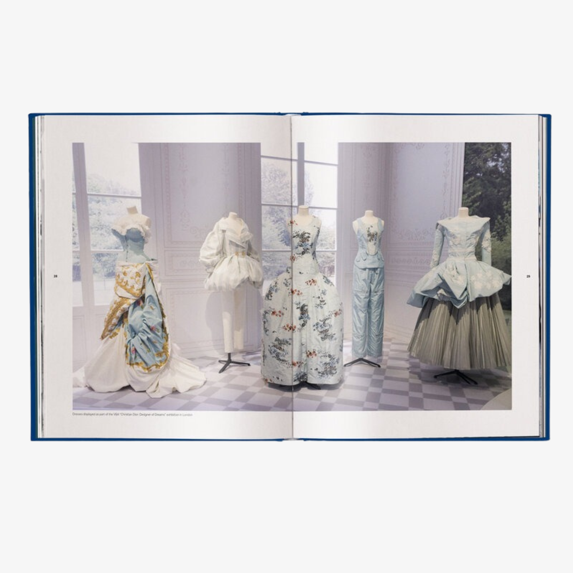 The Ultimate Guide to Dior Bags (Brand Bible)