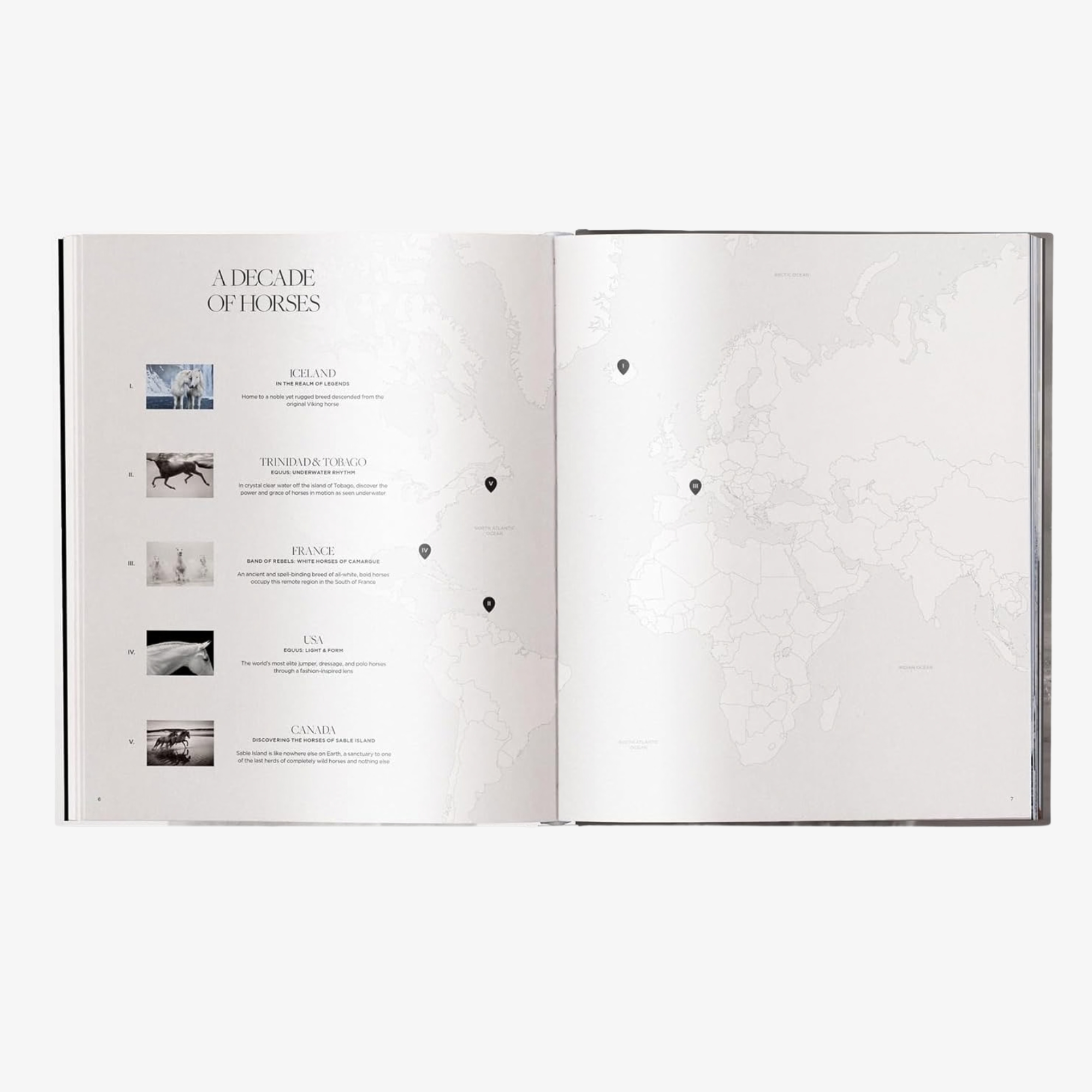 Untamed Spirits: Horses from Around the World