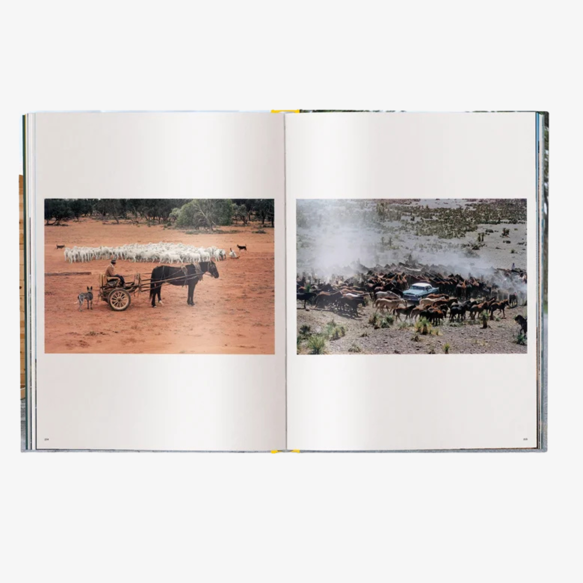 Elliott Erwitt's Kolor: New Edition