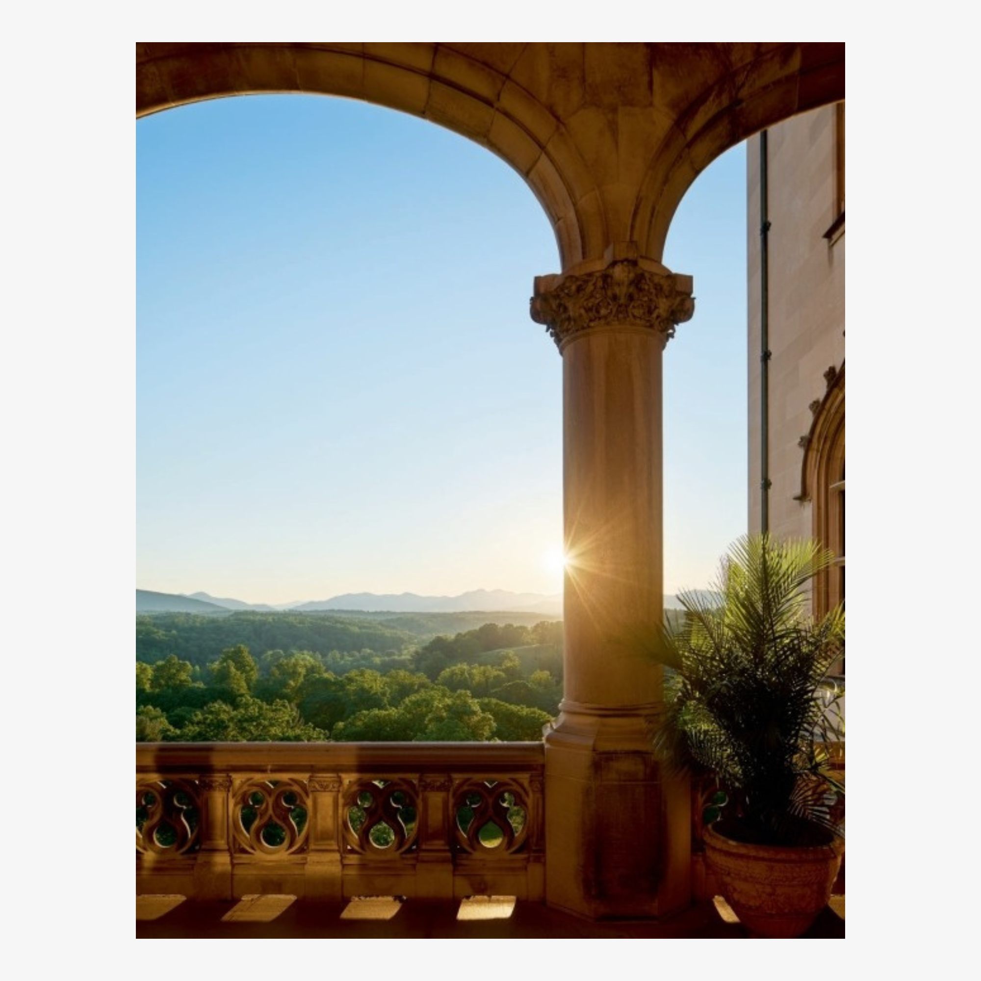 Biltmore House: The Interiors and Collections of George W. Vanderbilt
