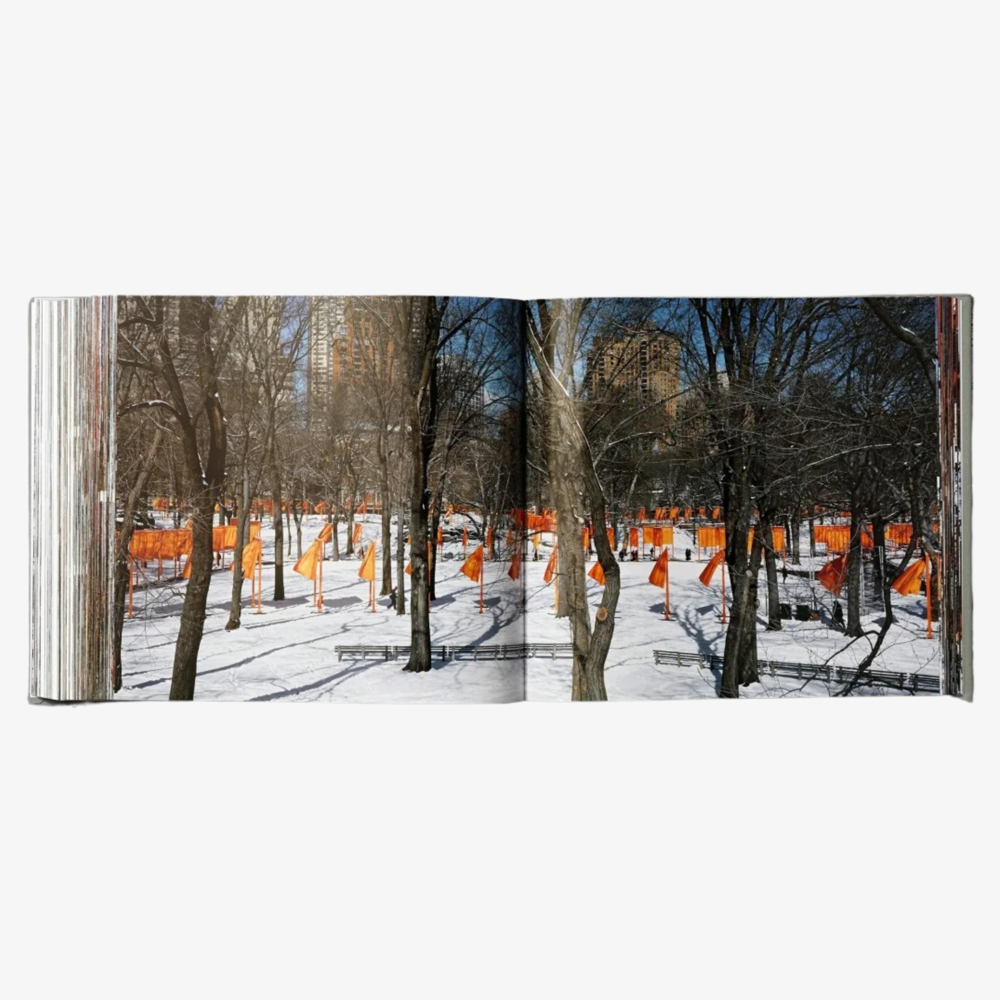 Christo and Jeanne-Claude: The Gates