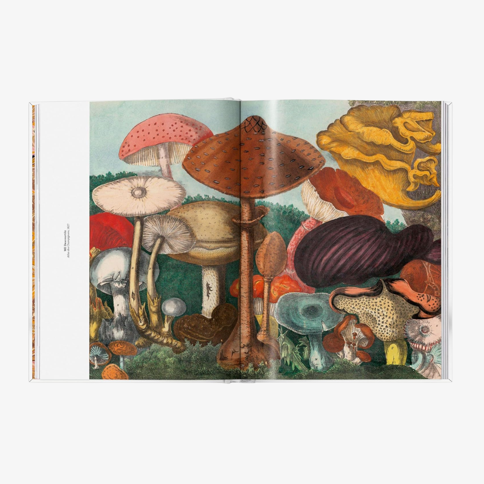 The Gourmand's Mushroom: A Collection of Stories and Recipes