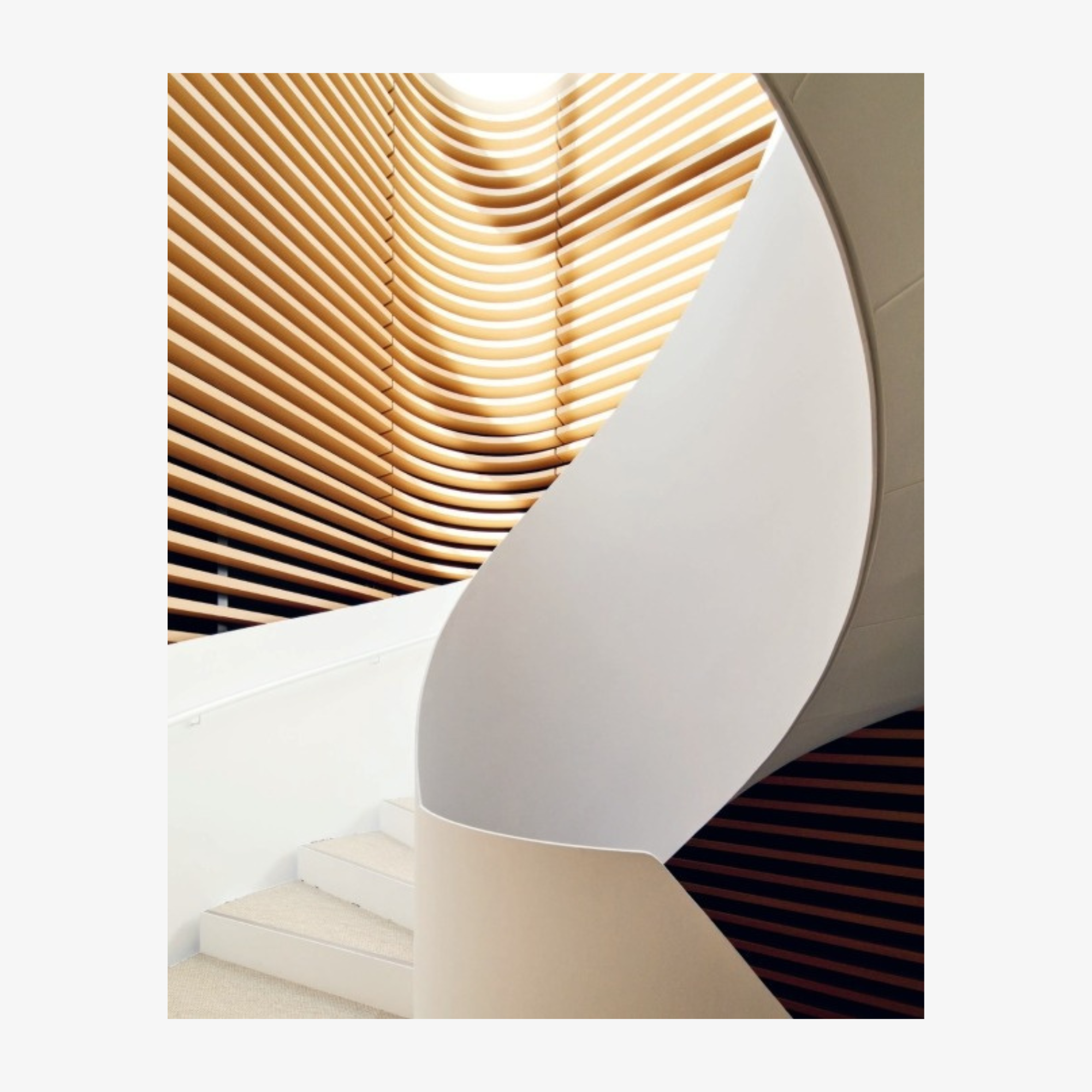 Koichi Takada: Naturalizing Architecture