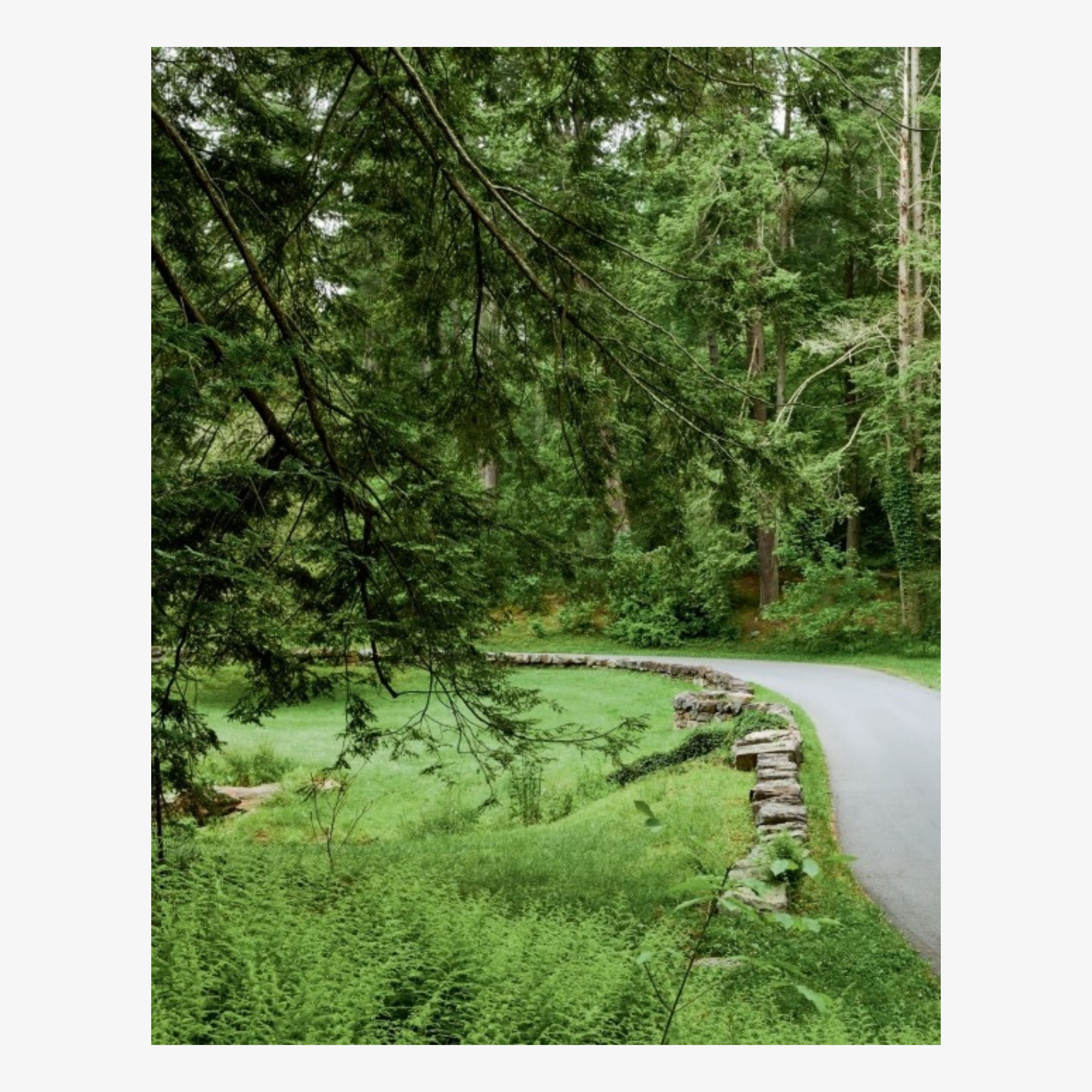 Biltmore House: The Interiors and Collections of George W. Vanderbilt