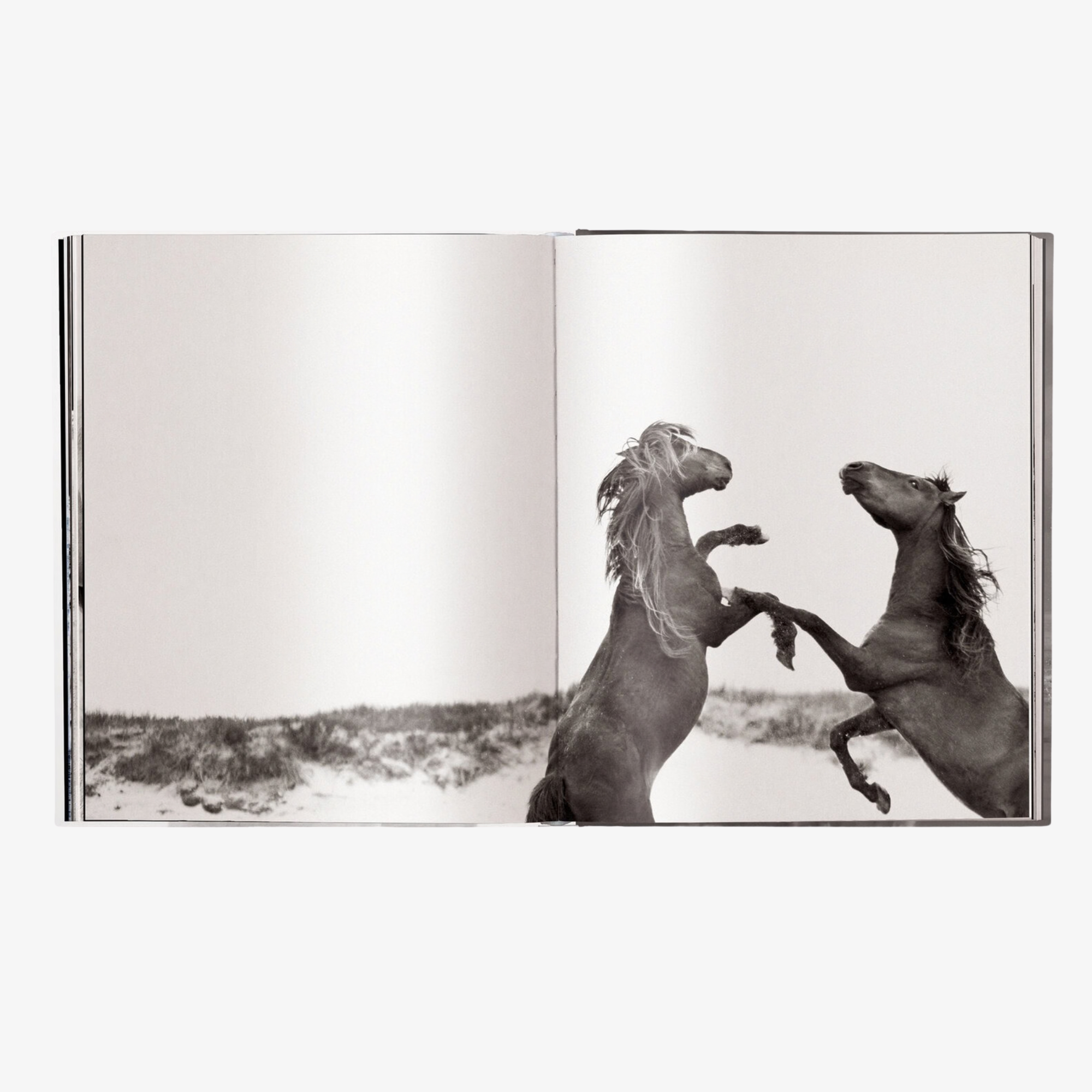 Untamed Spirits: Horses from Around the World