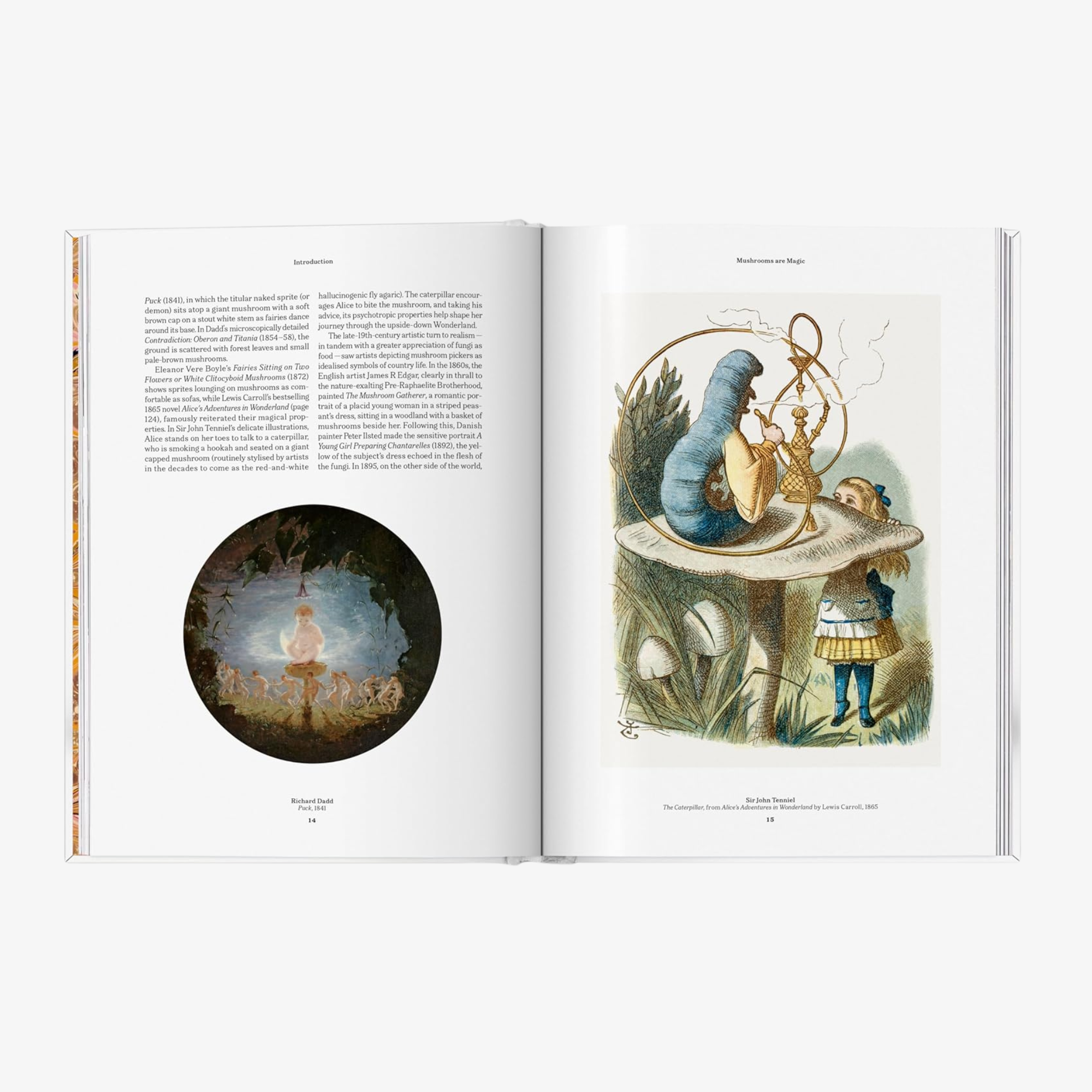 The Gourmand's Mushroom: A Collection of Stories and Recipes