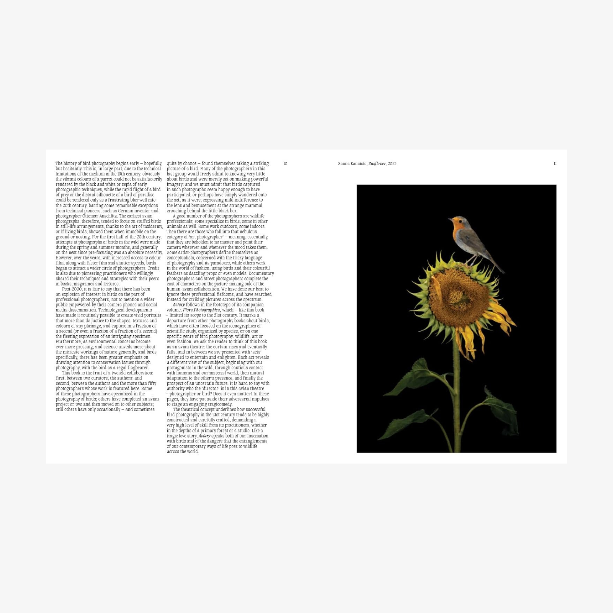 Aviary: The Bird in Contemporary Photography