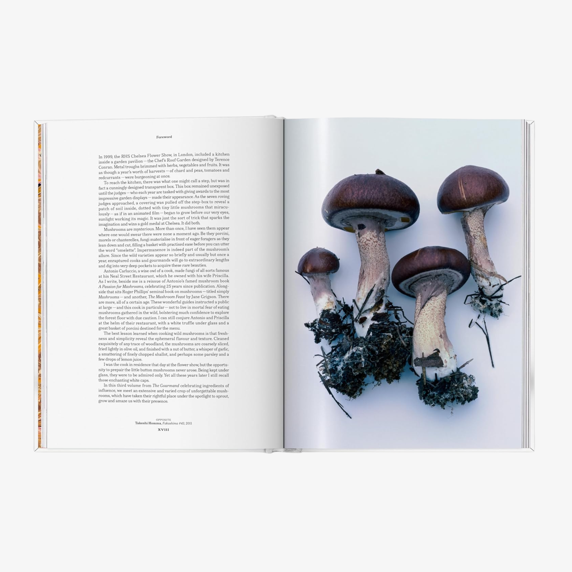The Gourmand's Mushroom: A Collection of Stories and Recipes