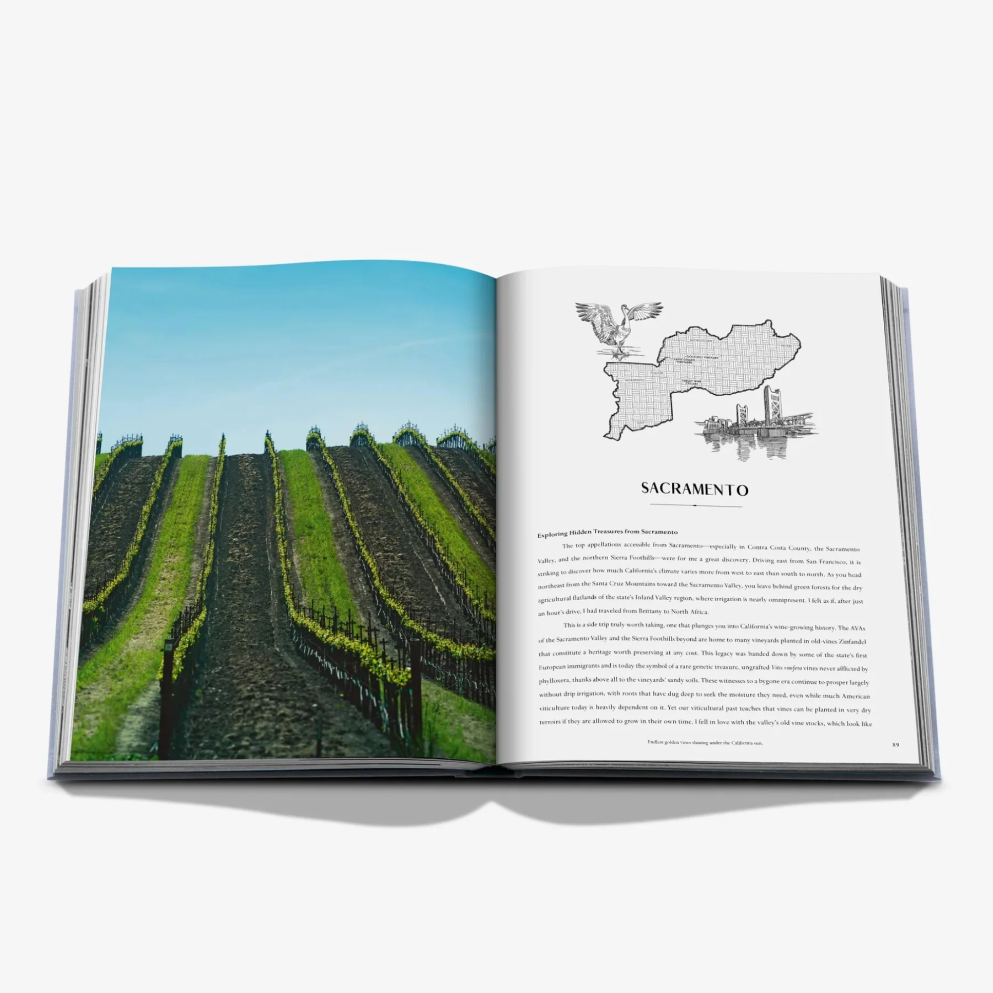 Wine & Travel Complete Collection Gift Set