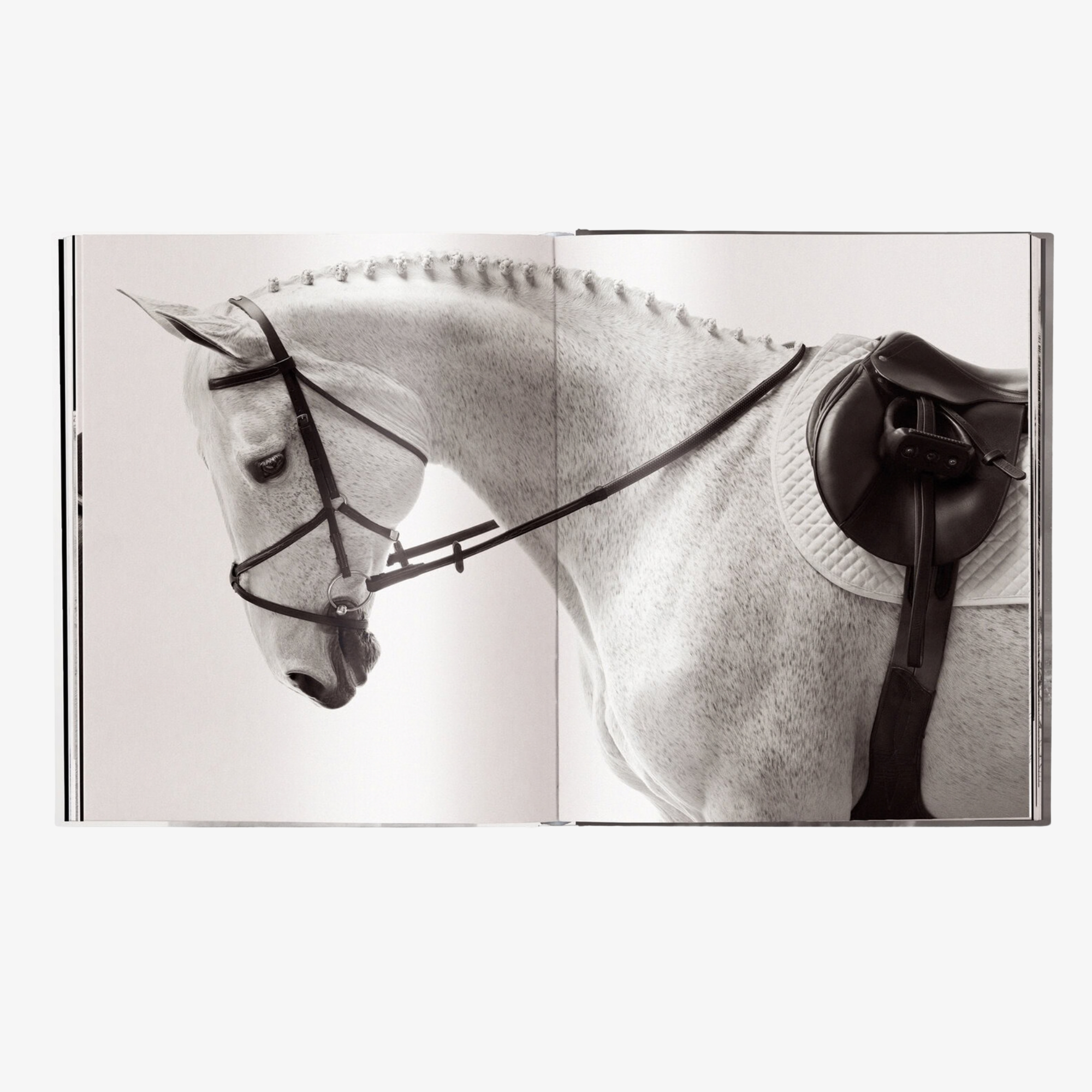 Untamed Spirits: Horses from Around the World