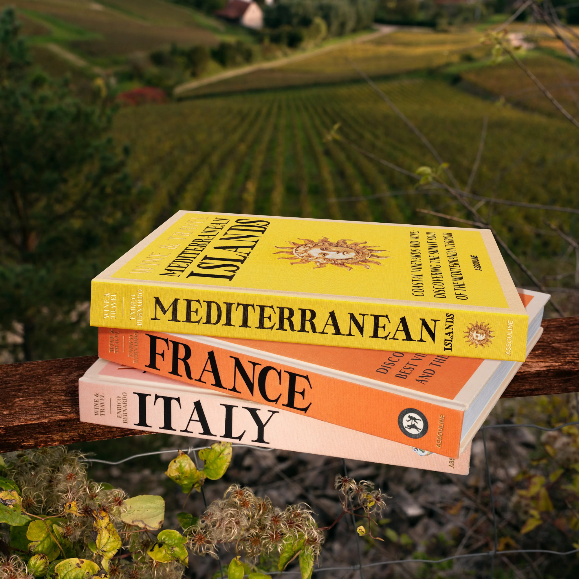Wine and Travel: France, Italy, Mediterranean Islands Gift Set