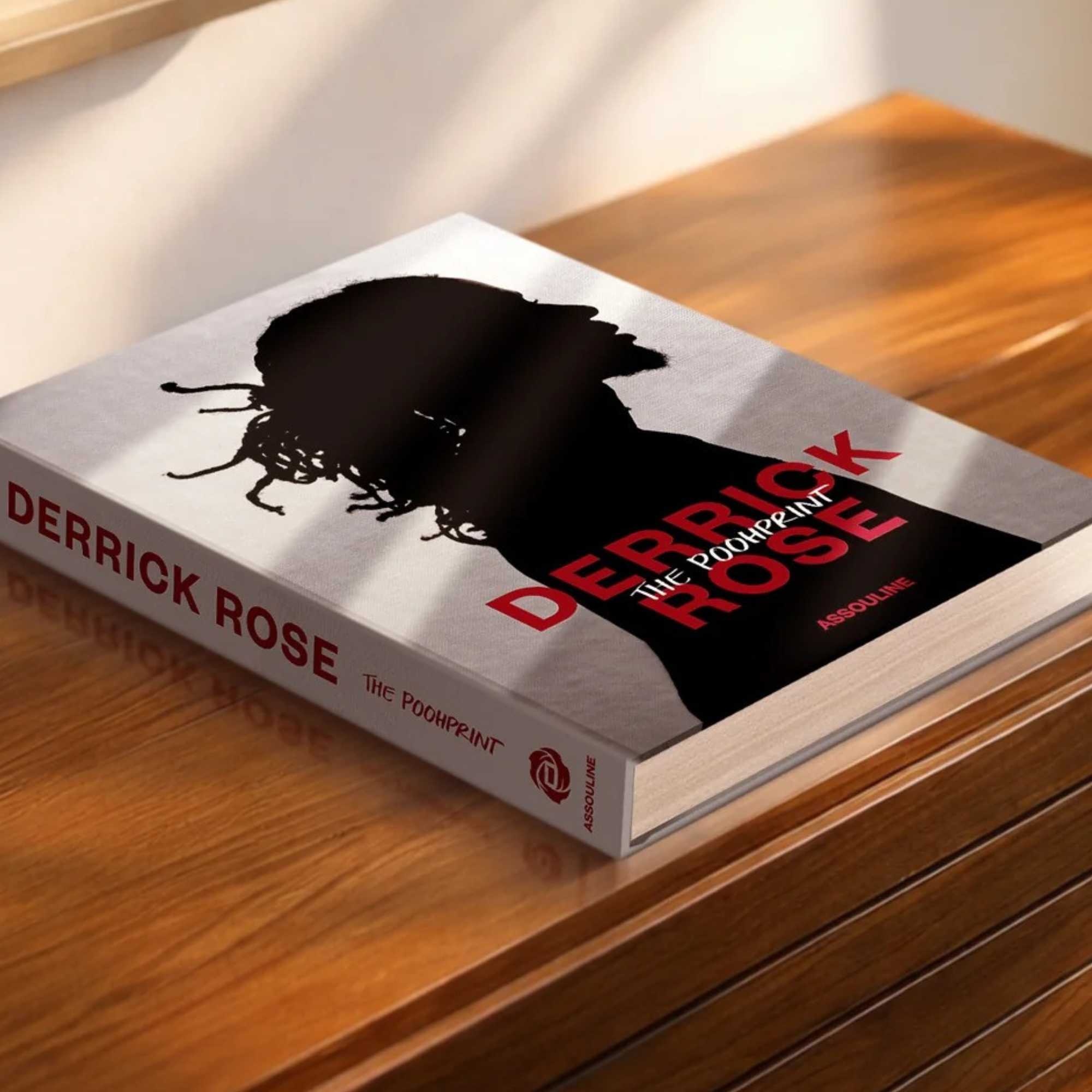 Derrick Rose: The Poohprint