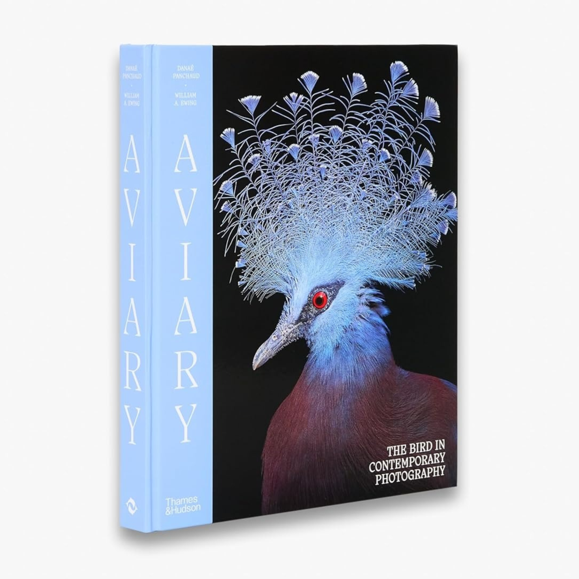 Aviary: The Bird in Contemporary Photography