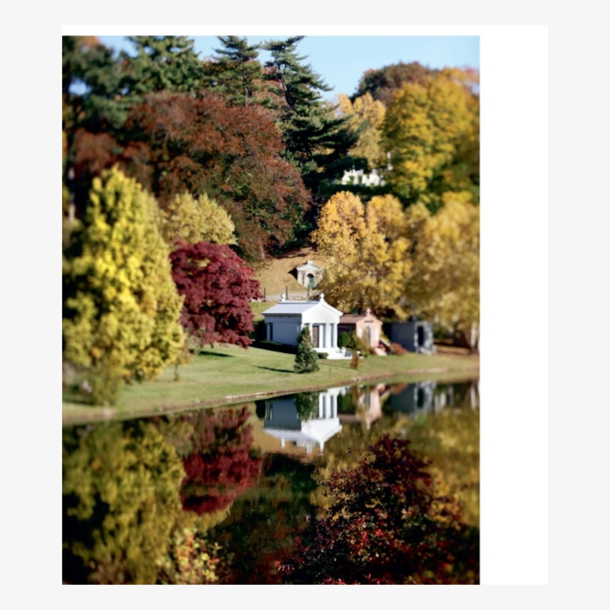 Brooklyn Arcadia: Art, History, and Nature at Majestic Green-Wood