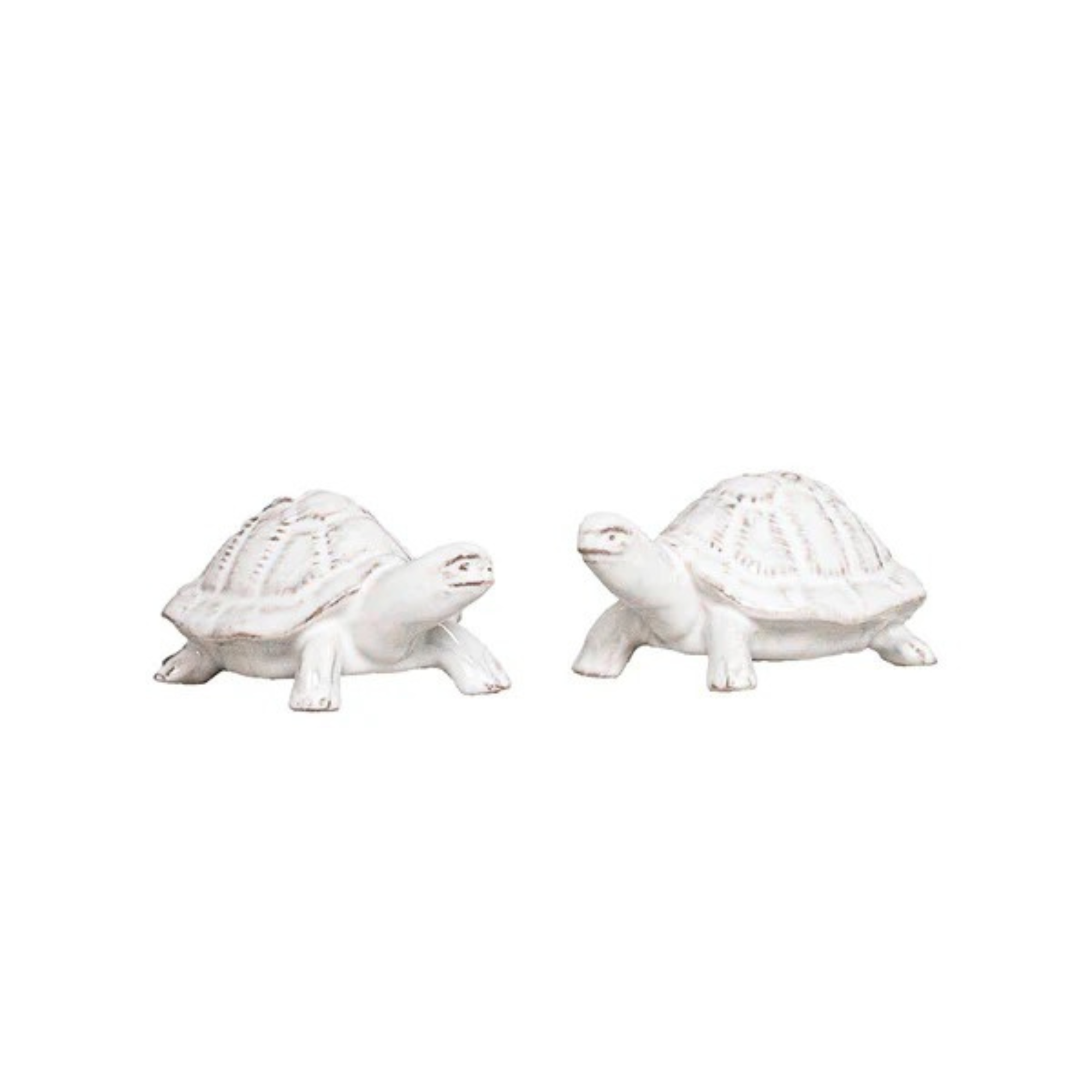 Clever Creatures Turtle Salt and Pepper Set
